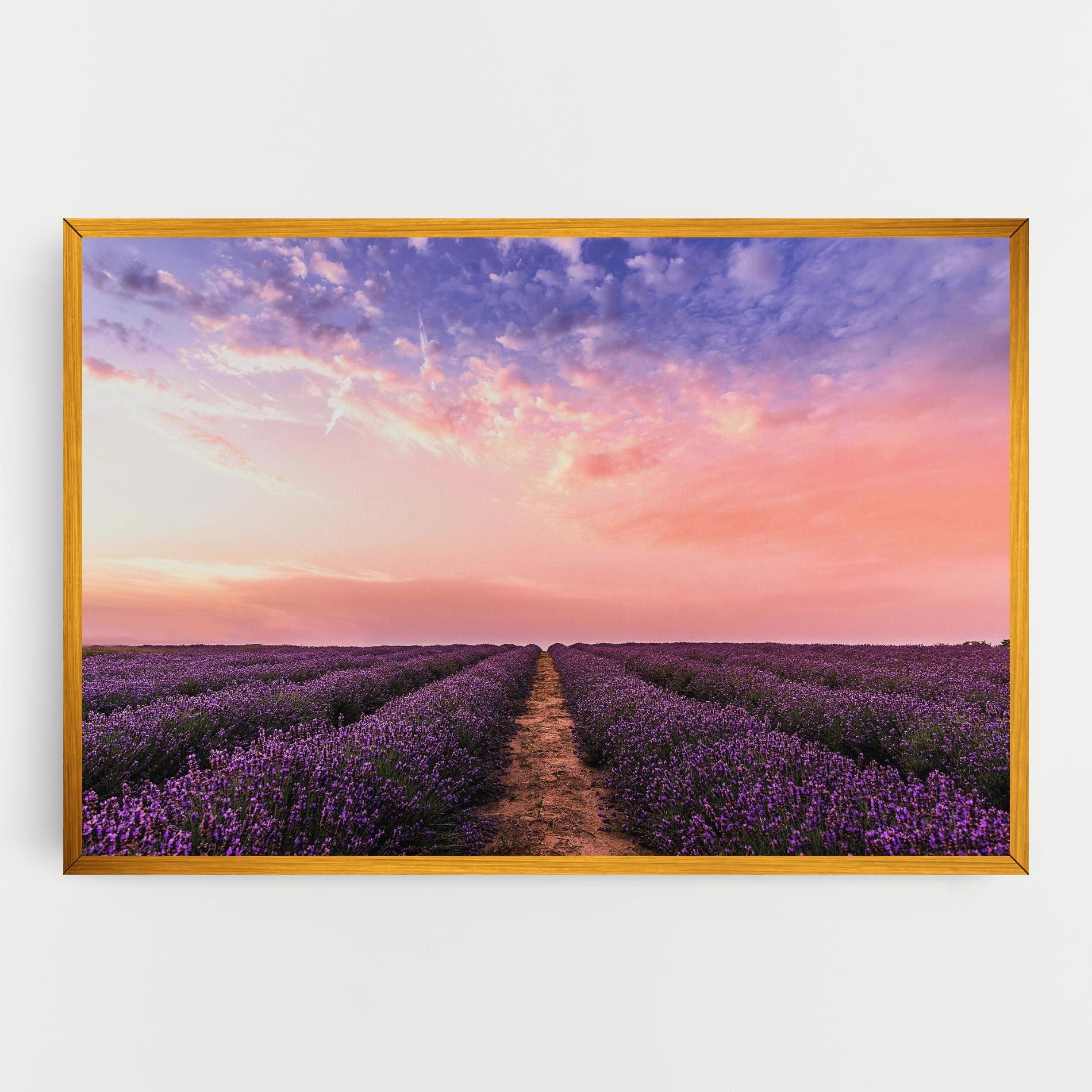Lavender Field mockup 0