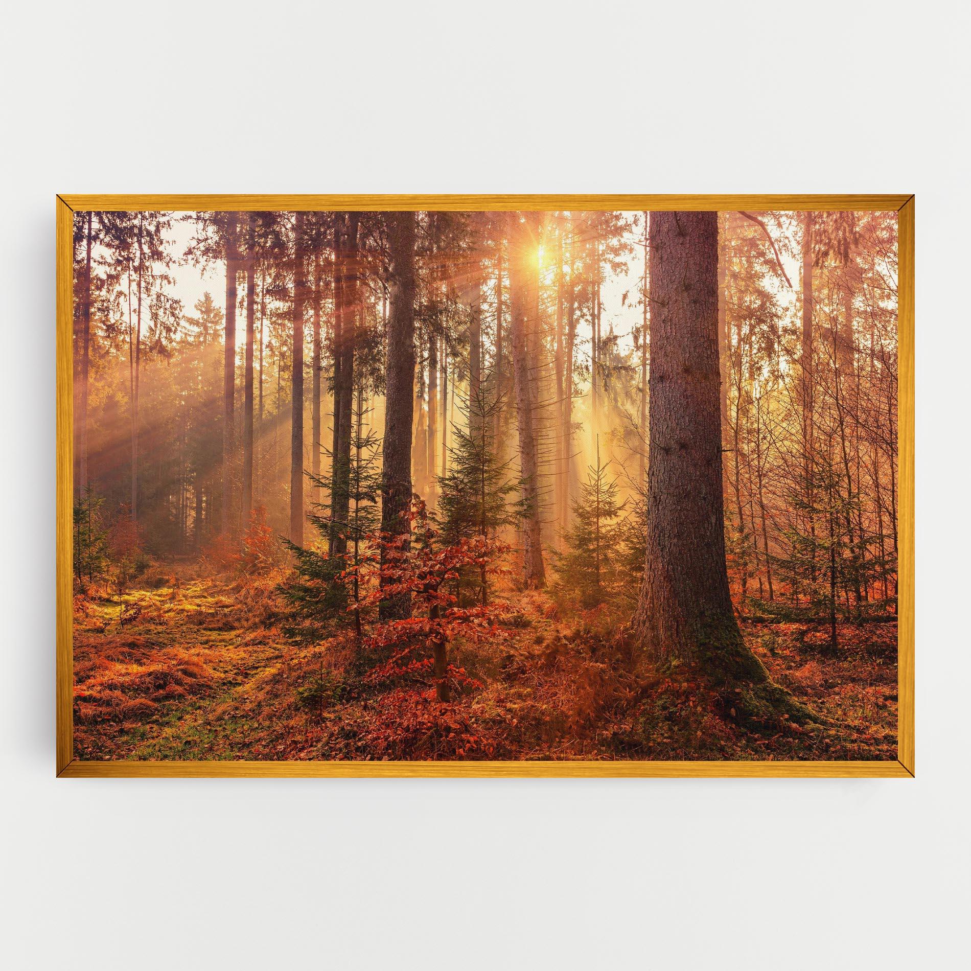 Tablou Canvas Orange Light Forest mockup 0