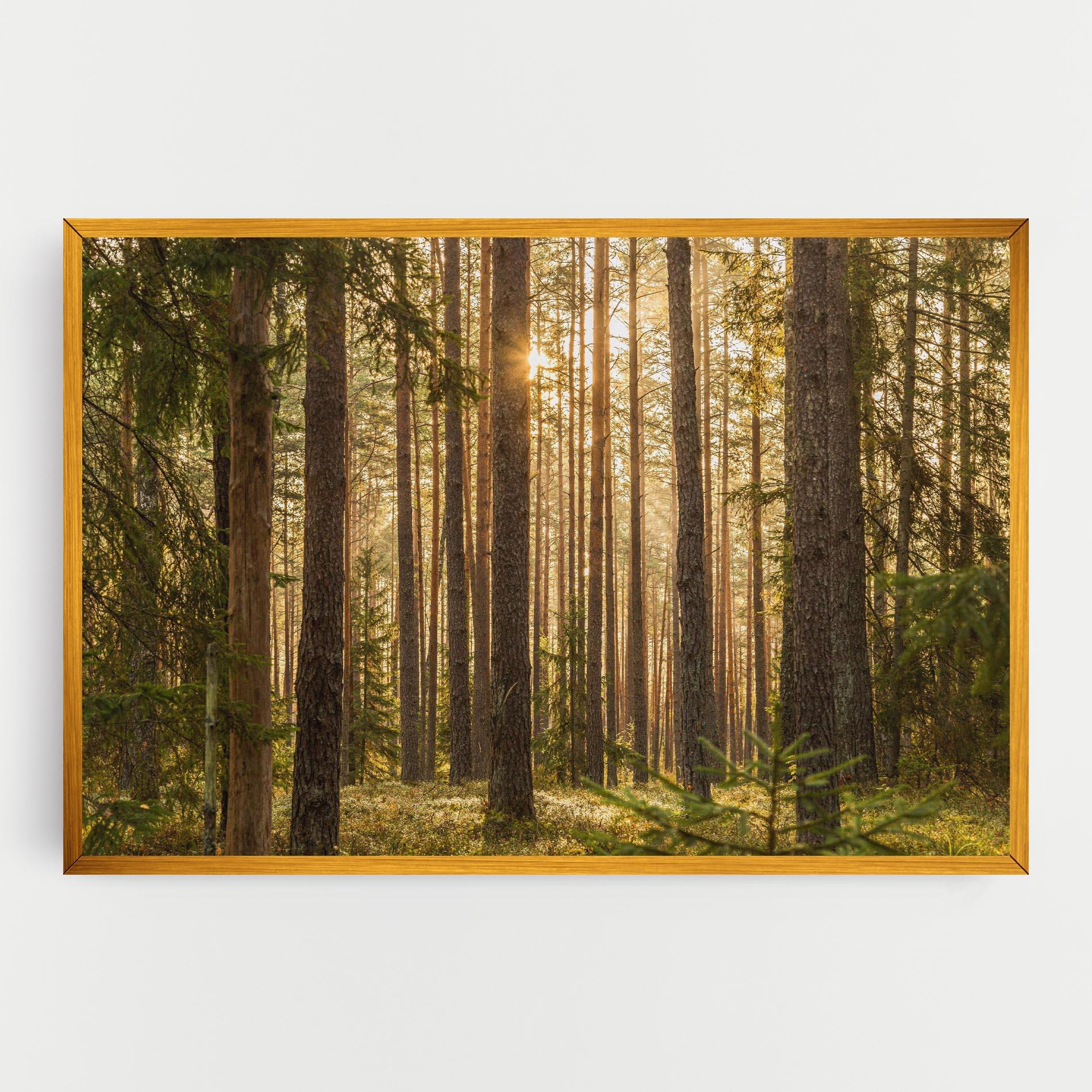 Tablou Canvas Sunrise Forest mockup 0