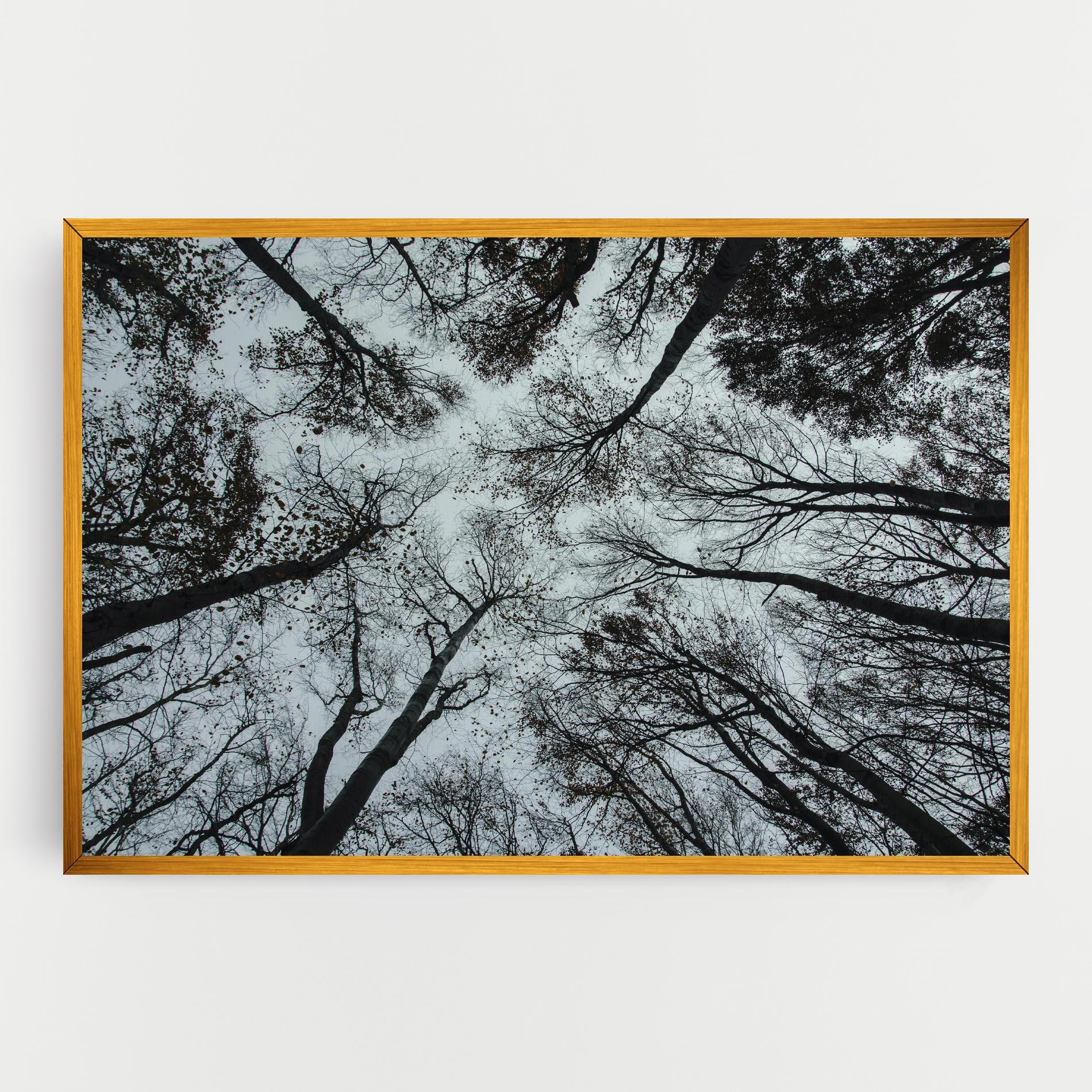 Tablou Canvas Trees Touching mockup 0