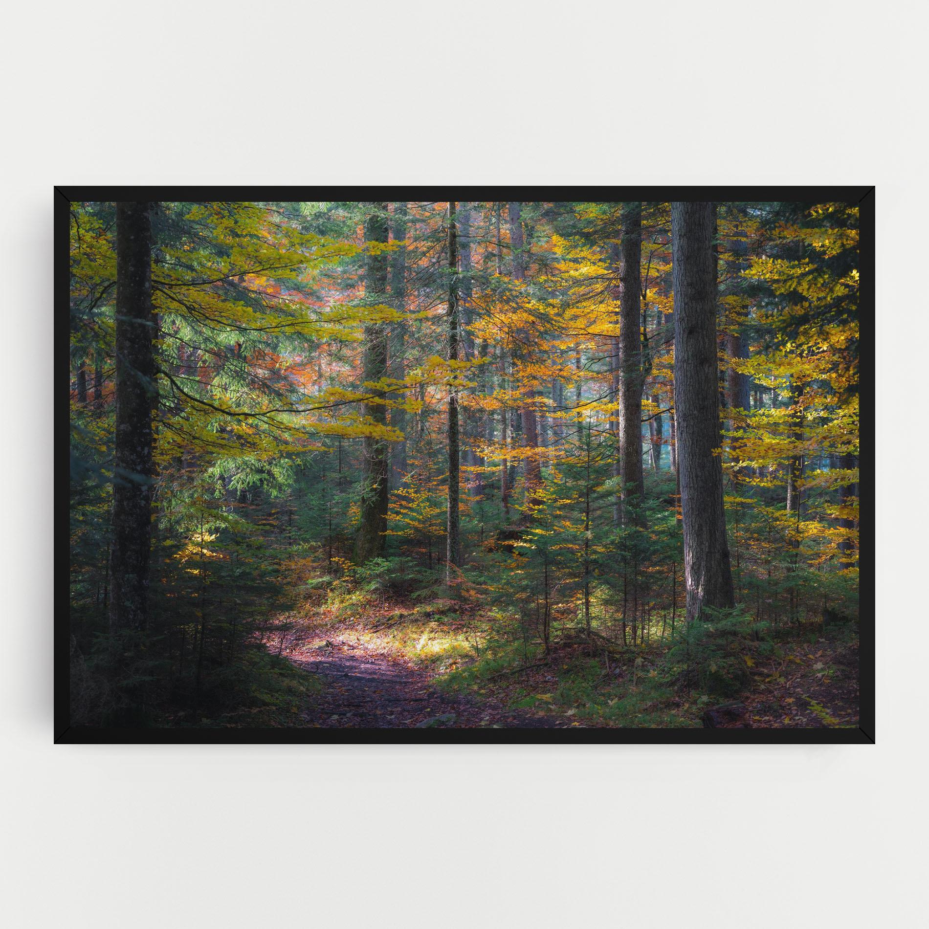 Tablou Canvas Dreamy Path Dorest mockup 0