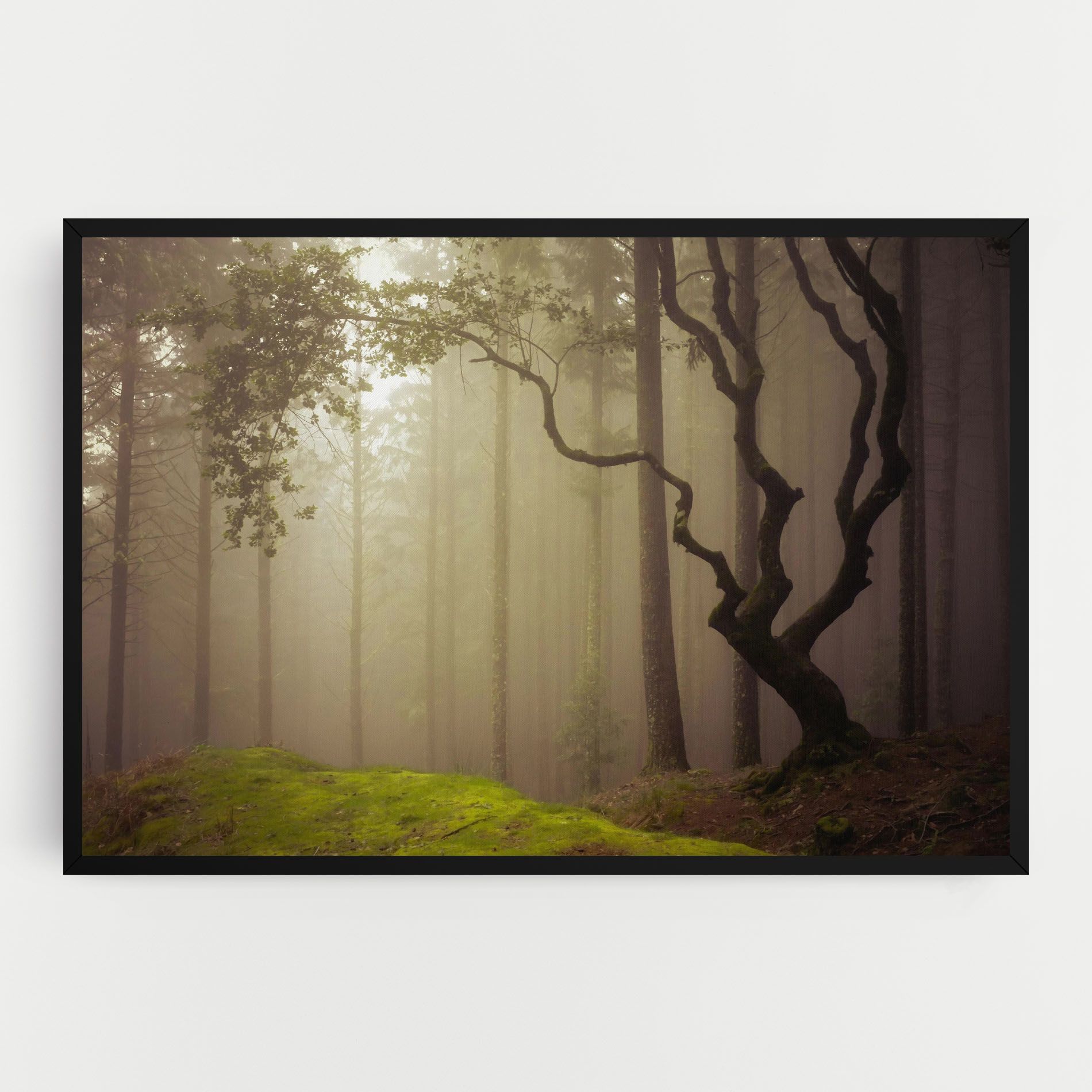 Foggy Tree Art mockup 0