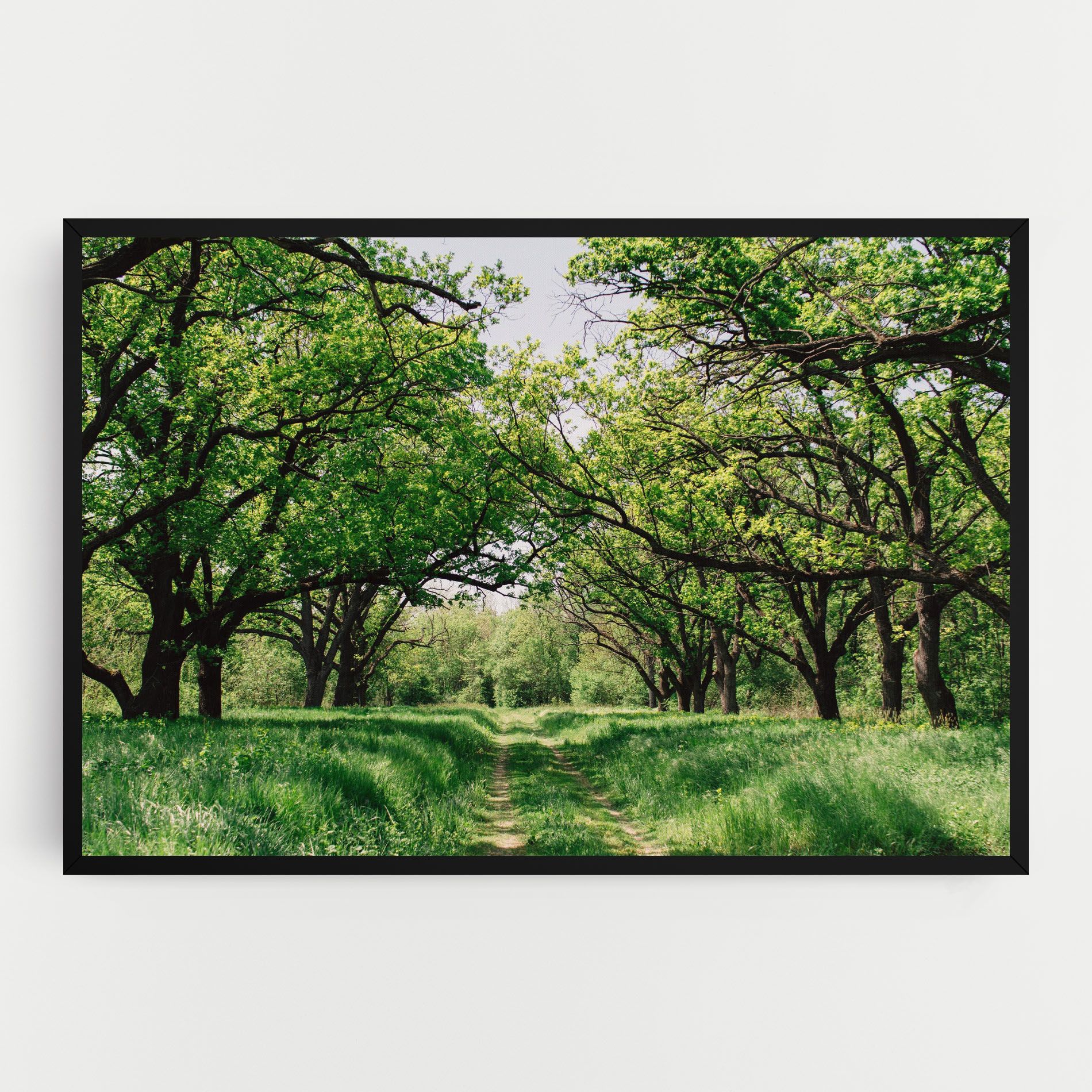 Forest Green Path mockup 0