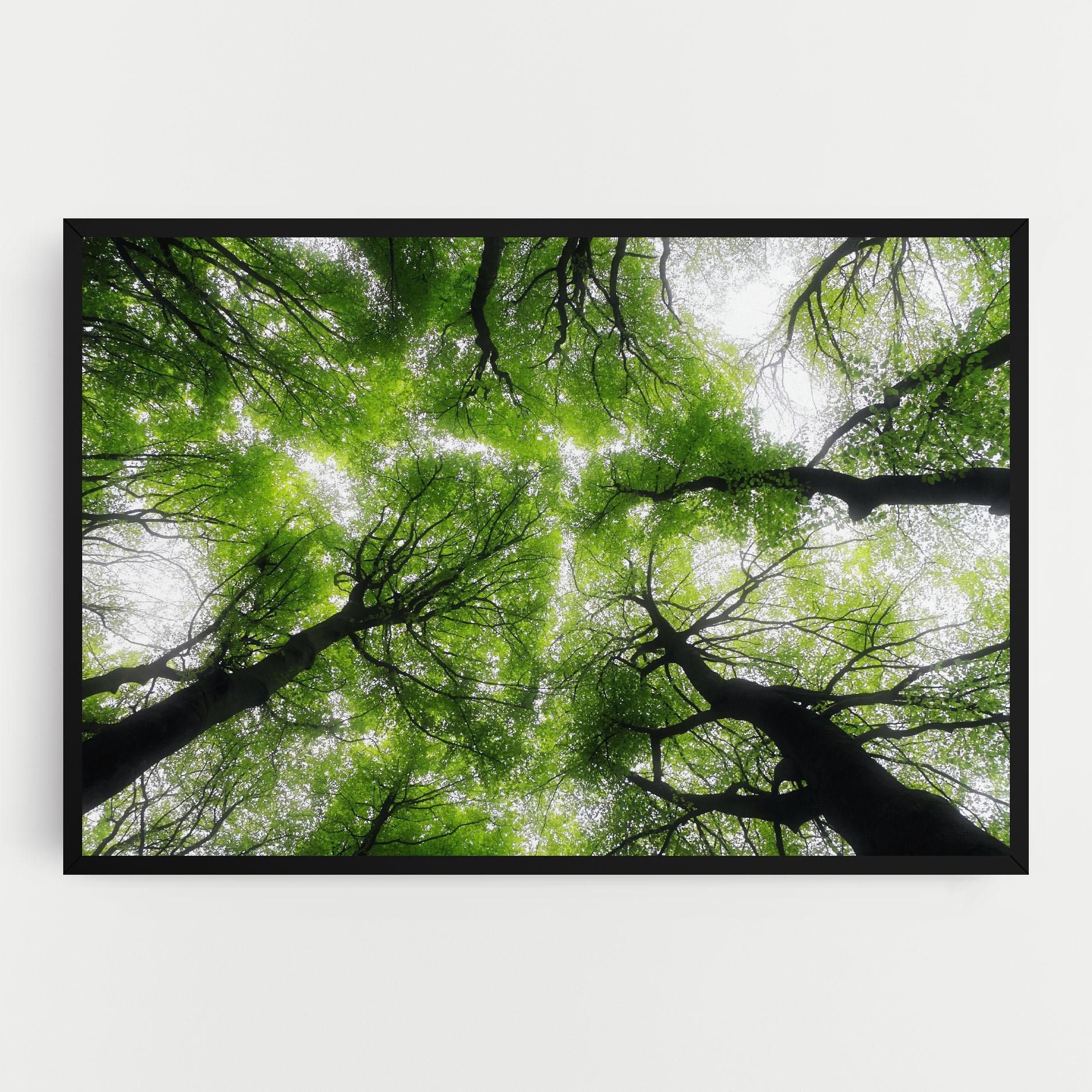 Tablou Canvas Forest Green Tree mockup 0