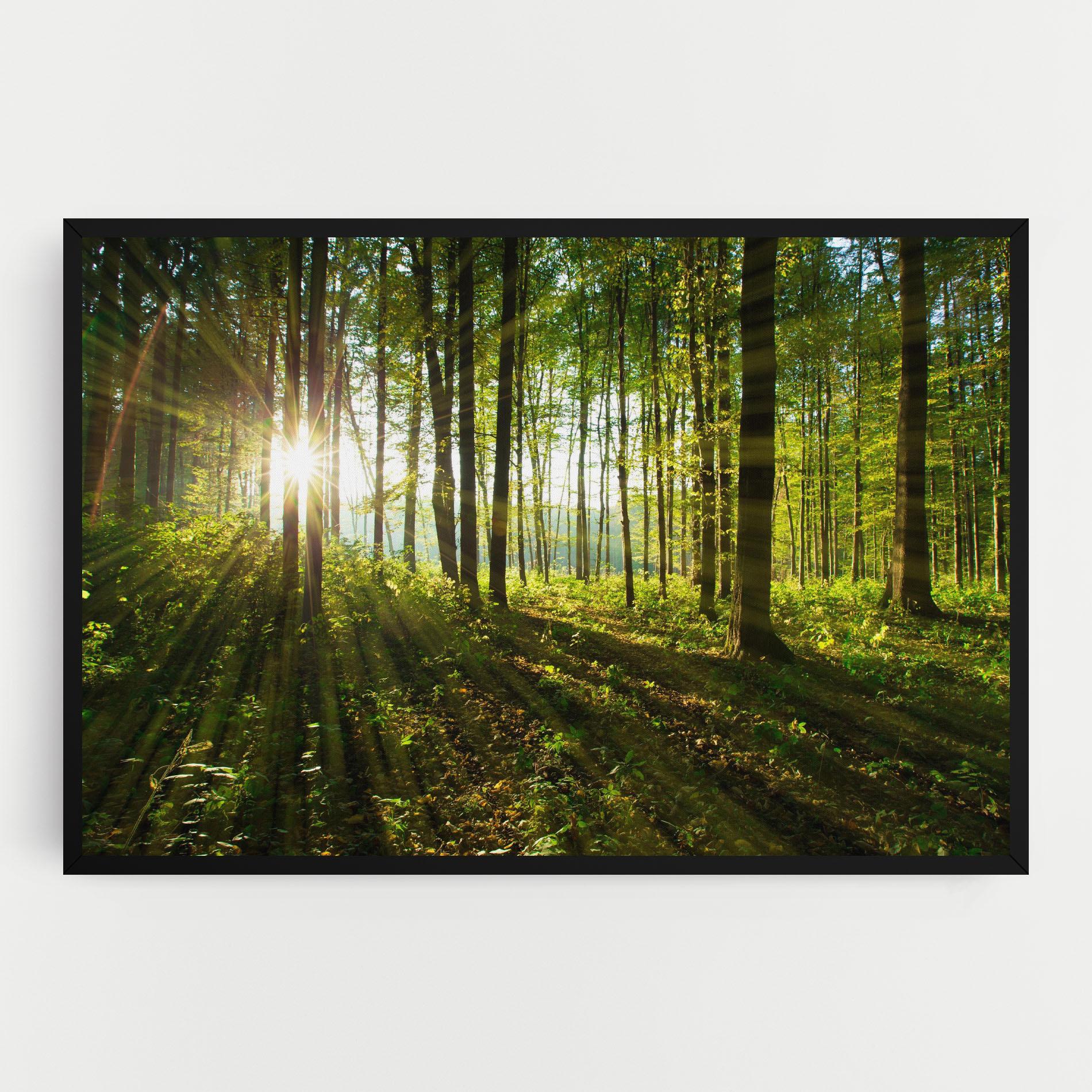 Tablou Canvas Green Light Forest mockup 0