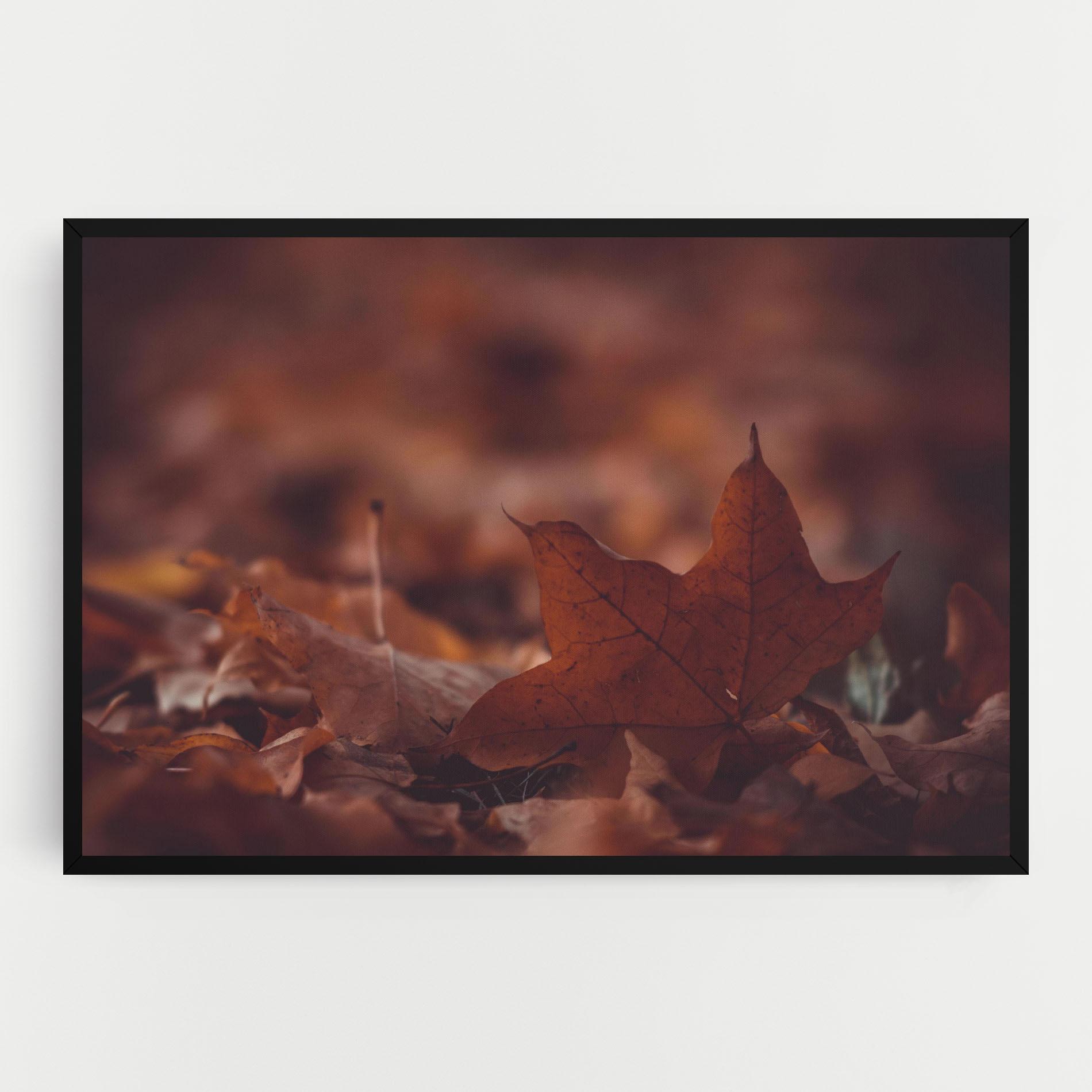 Tablou Canvas Kristian Seedorff Bl1jBUEIeo8 Unsplash mockup 0