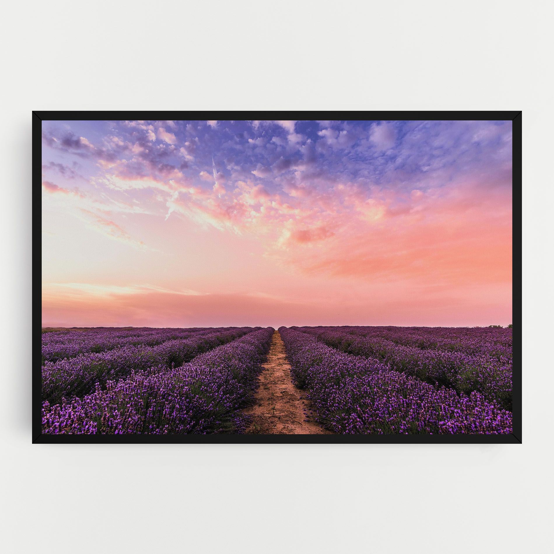 Lavender Field mockup 0