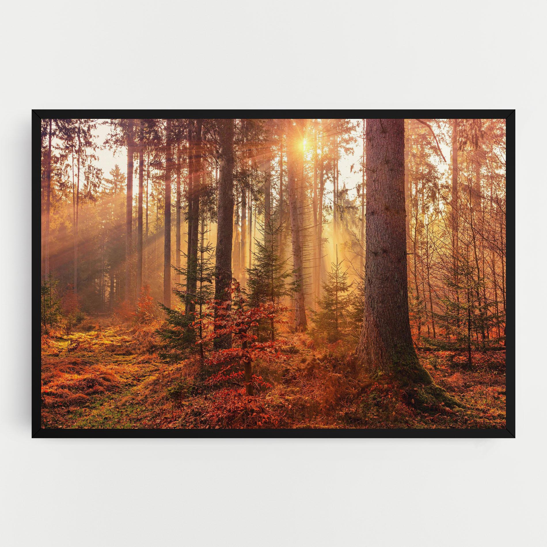 Tablou Canvas Orange Light Forest mockup 0