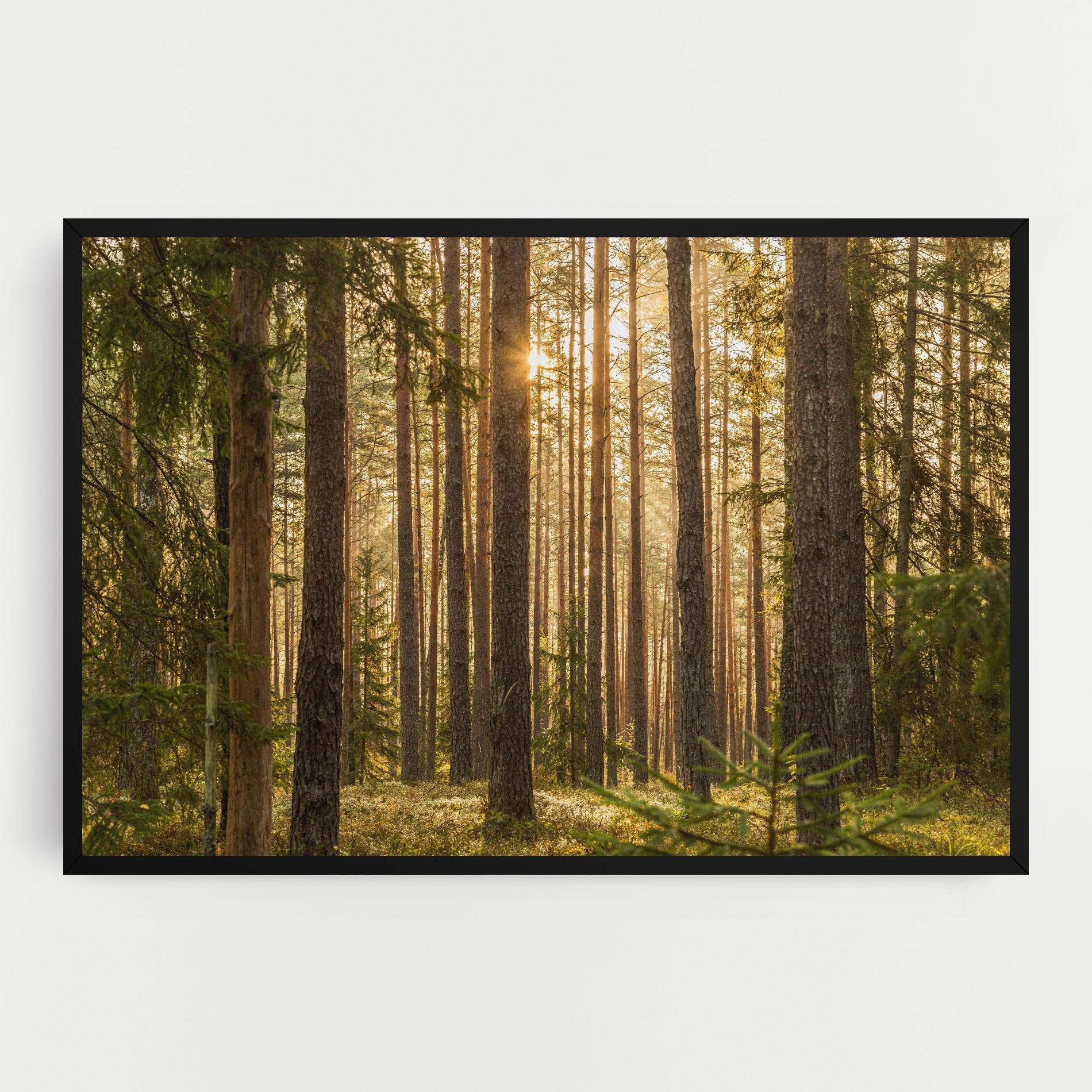 Tablou Canvas Sunrise Forest mockup 0