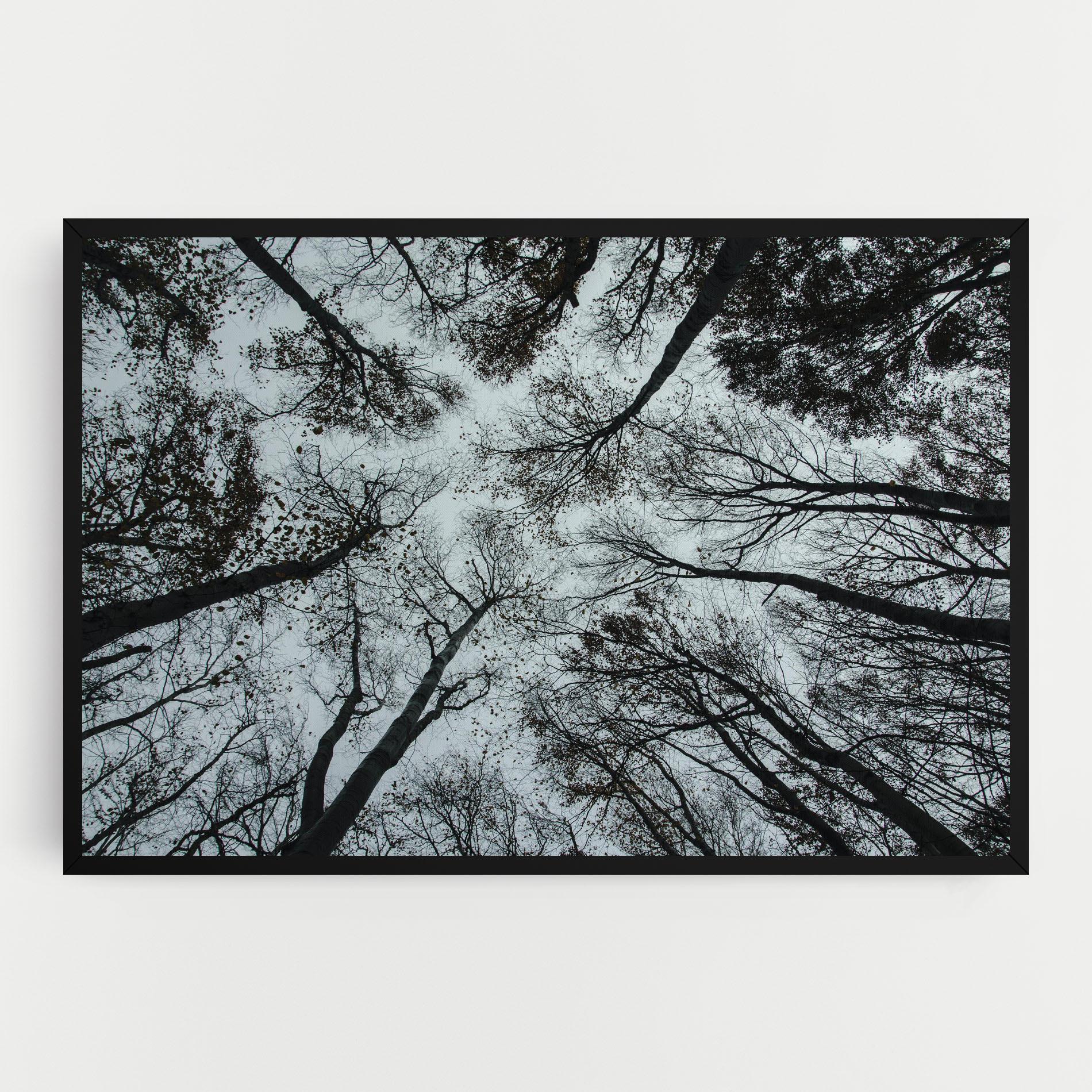 Tablou Canvas Trees Touching mockup 0
