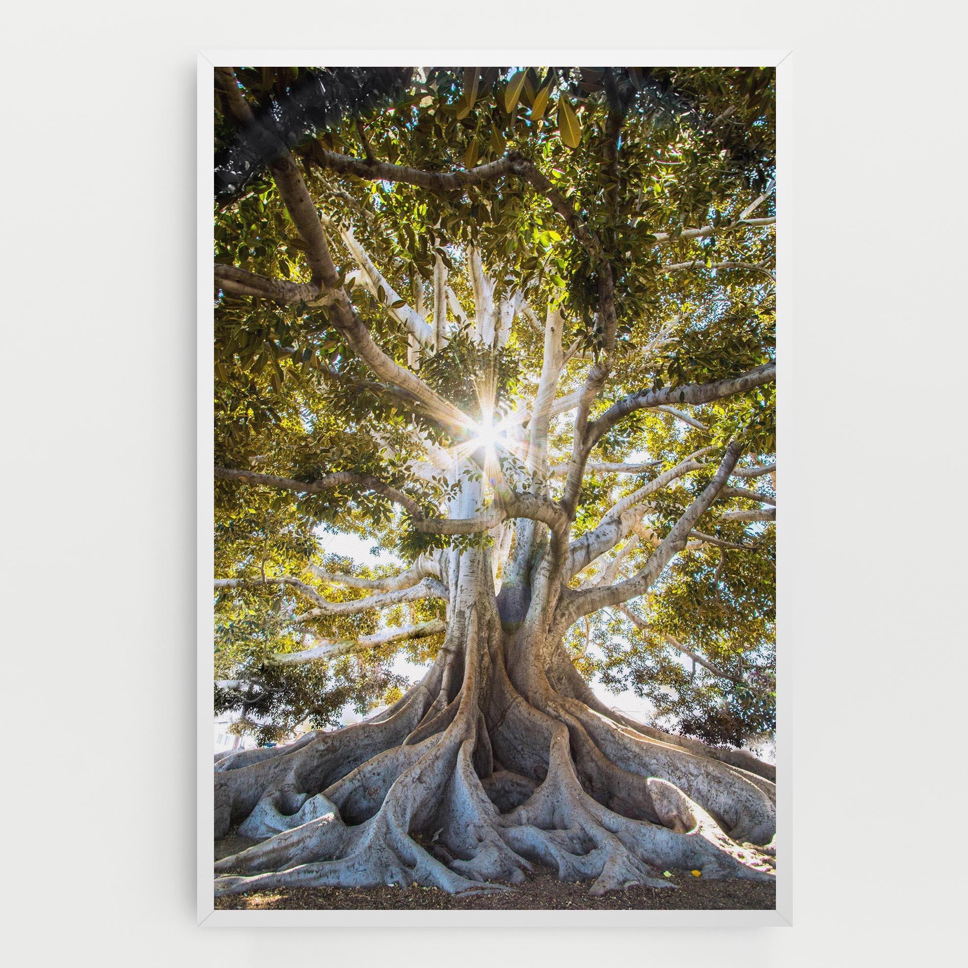 Tablou Canvas Big Old Tree mockup 0