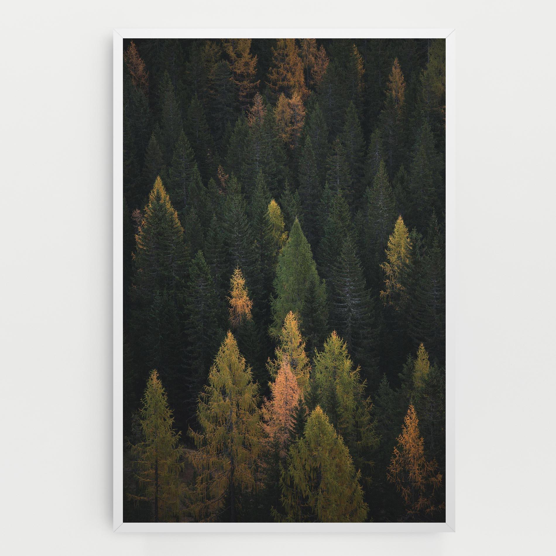 Tablou Canvas Color Mix Tree mockup 0