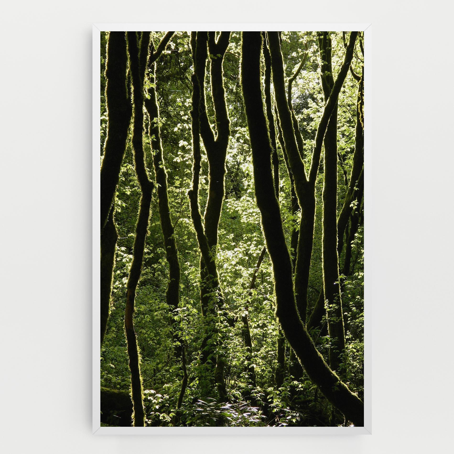 Tablou Canvas Forest Black Trees mockup 0