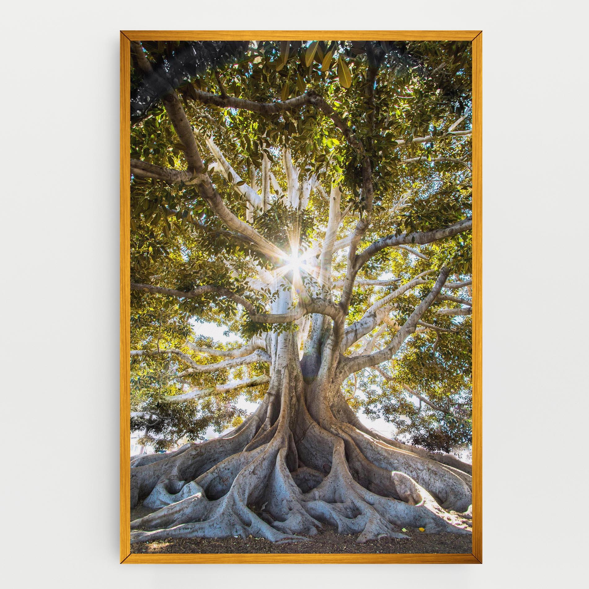 Tablou Canvas Big Old Tree mockup 0