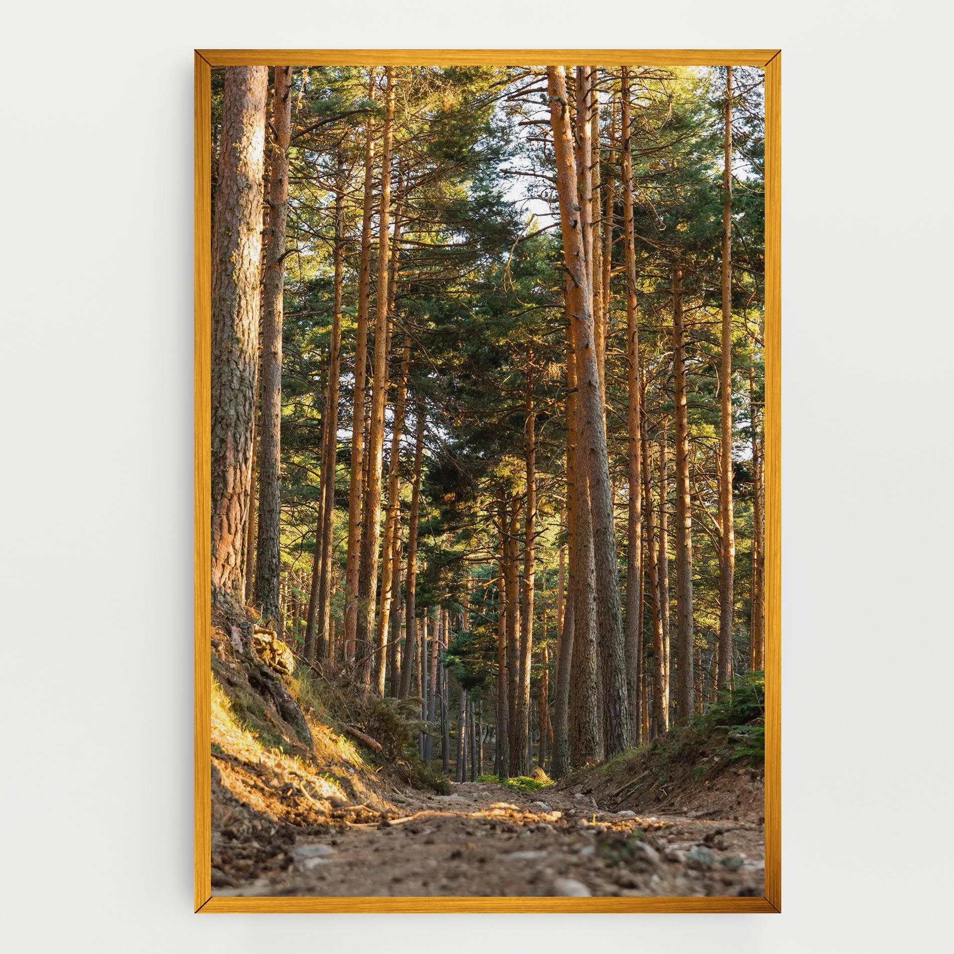 Big Trees Forest mockup 0