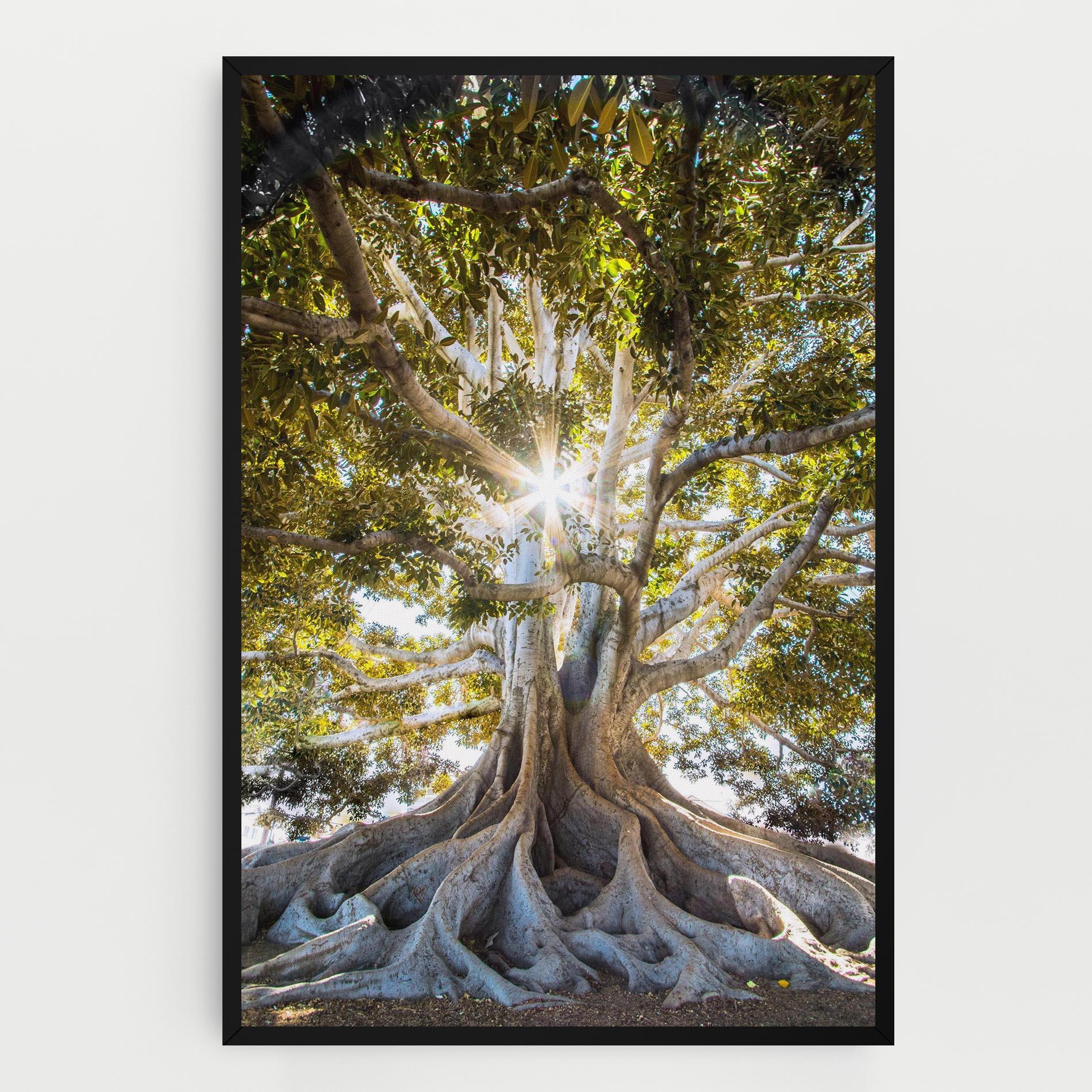 Tablou Canvas Big Old Tree mockup 0