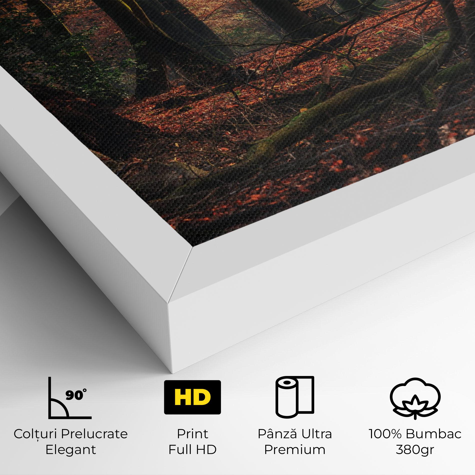Tablou Canvas Autumn Forest Trees mockup 4
