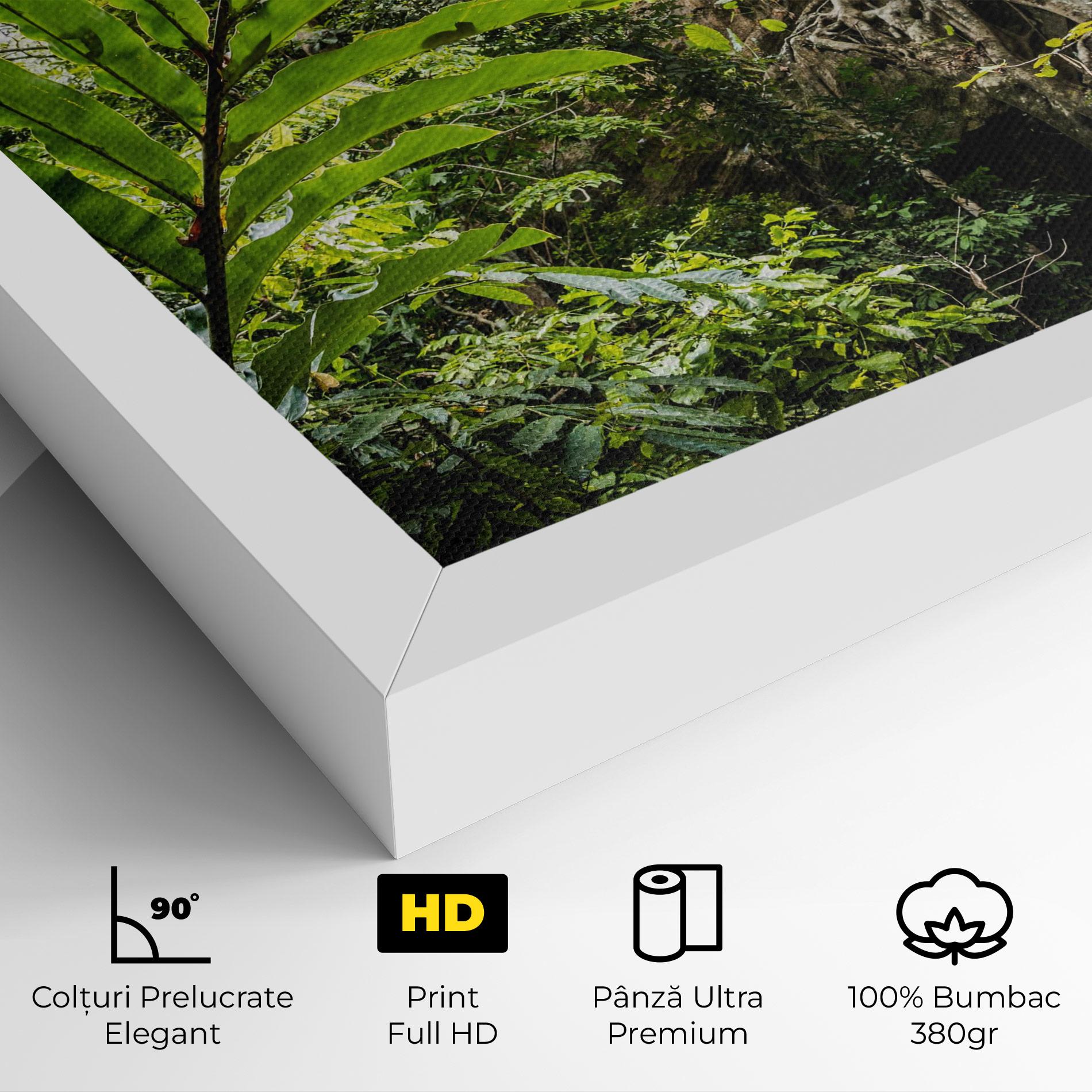 Tablou Canvas Big Leaf Forest mockup 4