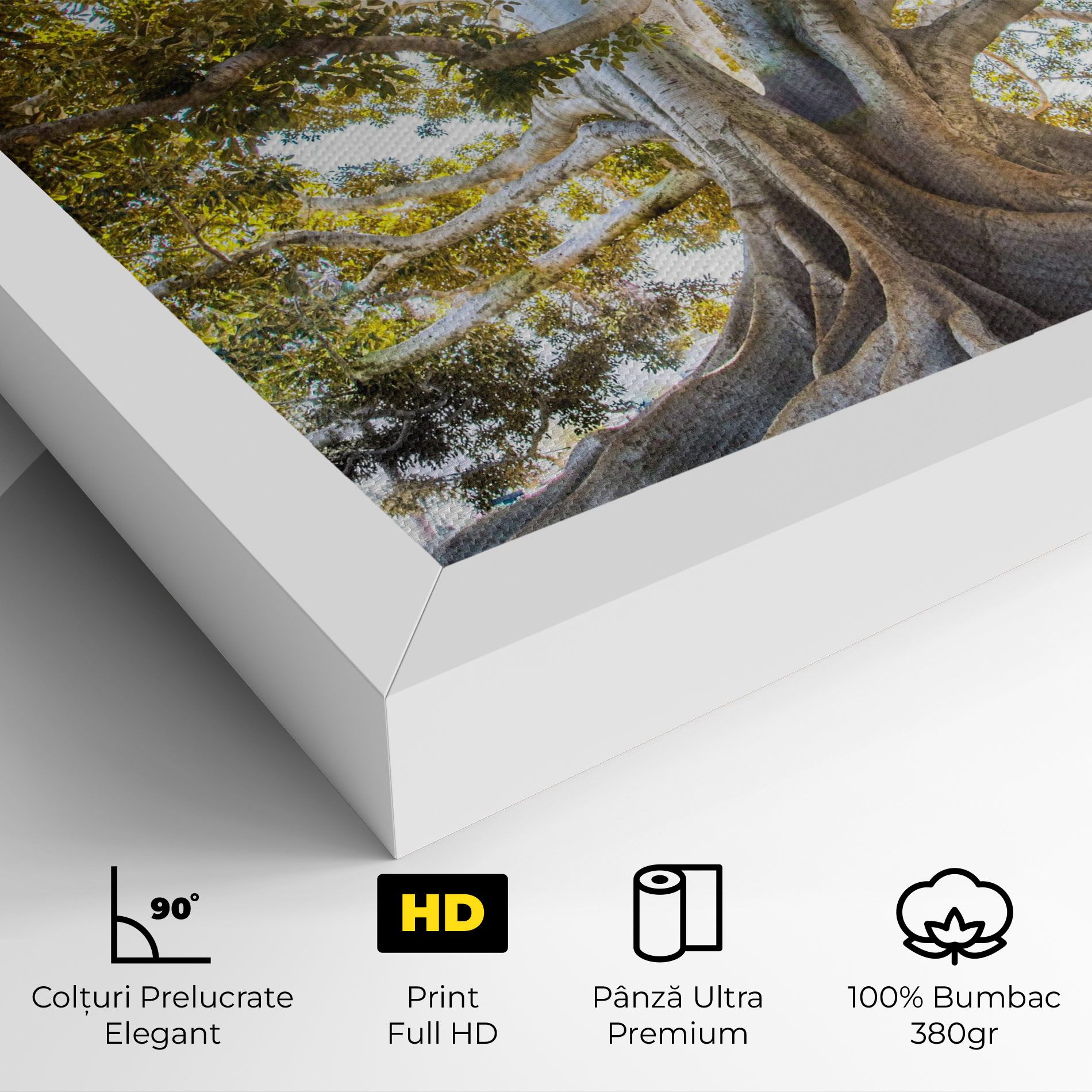 Big Old Tree mockup 4