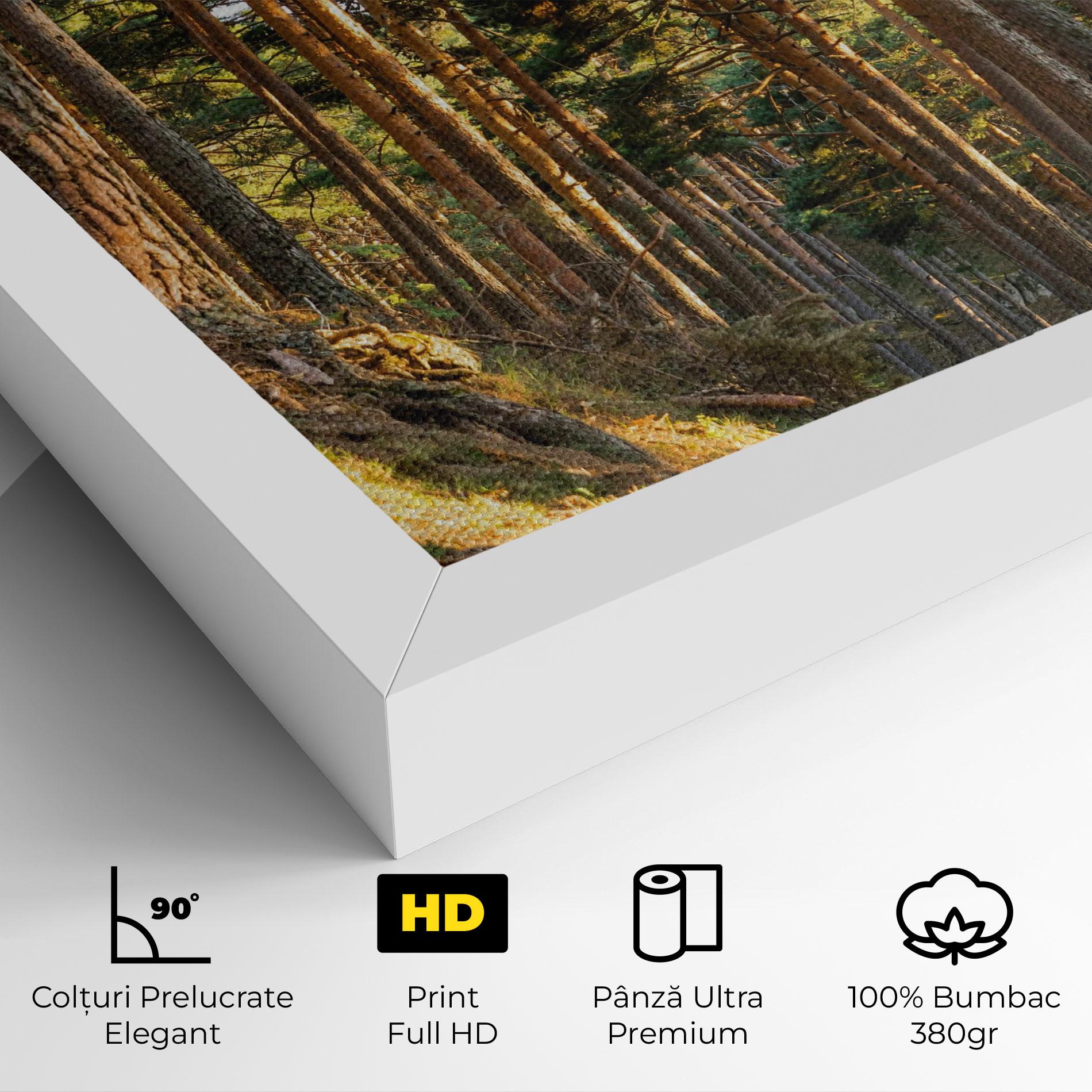 Tablou Canvas Big Trees Forest mockup 4