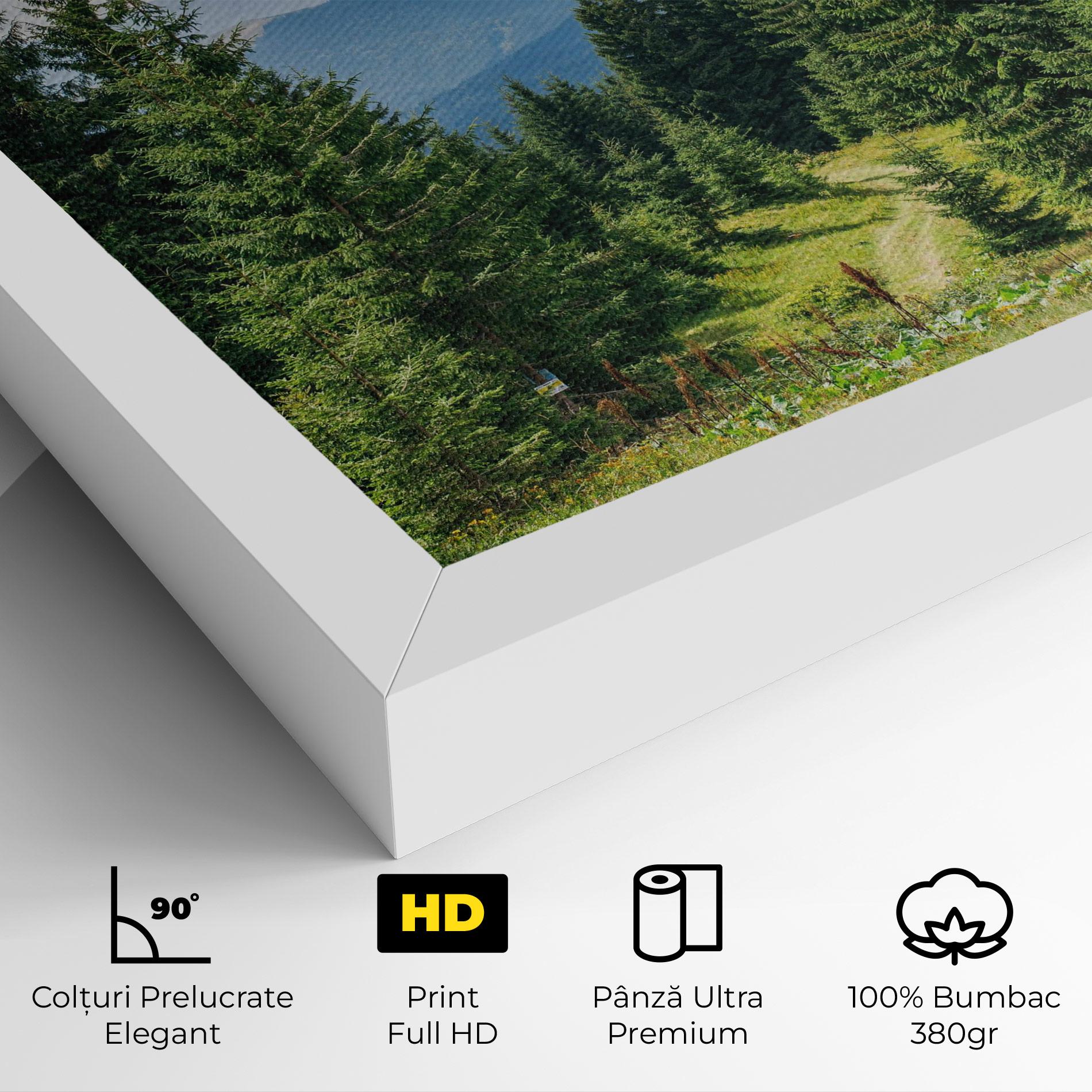 Tablou Canvas Carpathian Mountain mockup 4