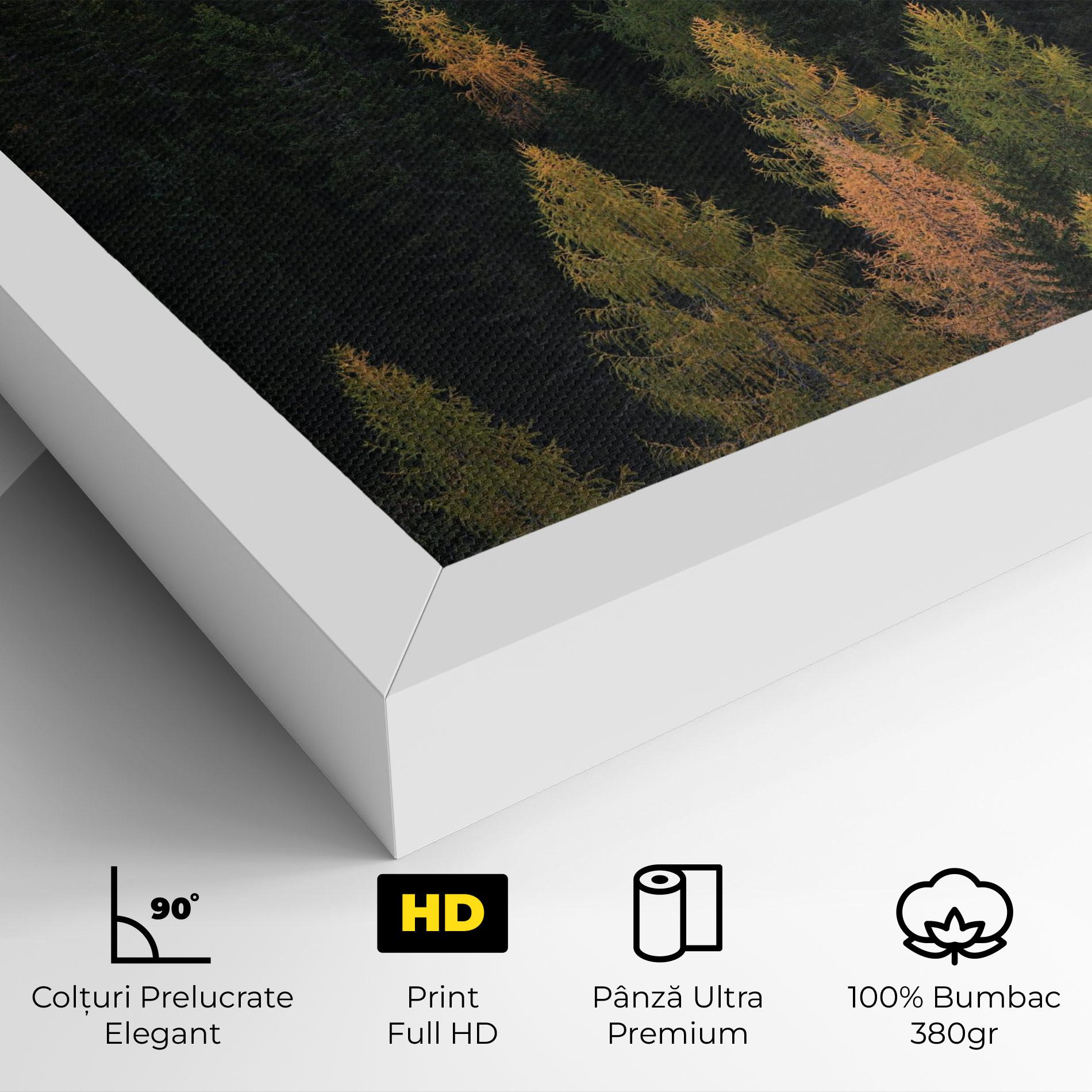 Tablou Canvas Color Mix Tree mockup 4