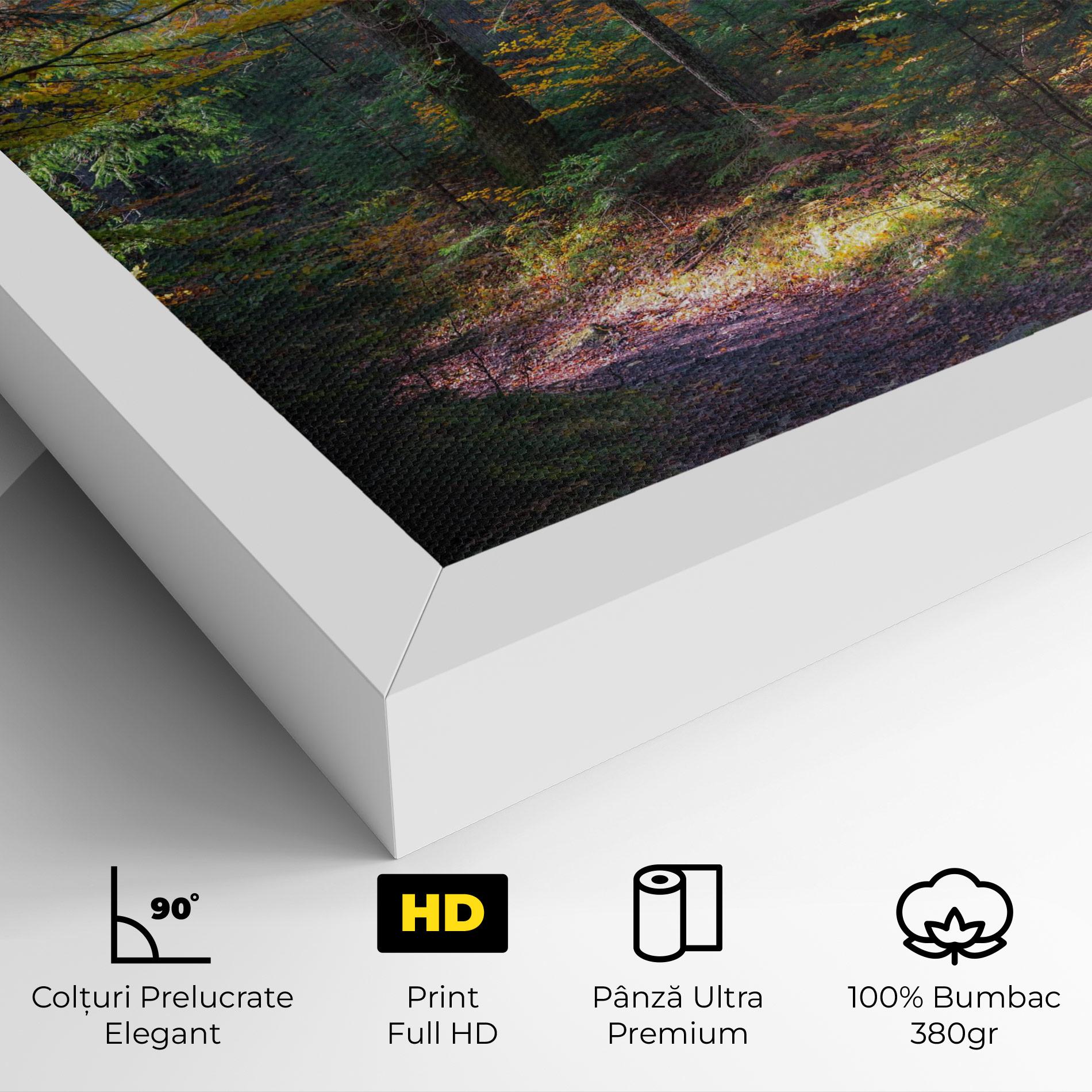 Tablou Canvas Dreamy Path Dorest mockup 4