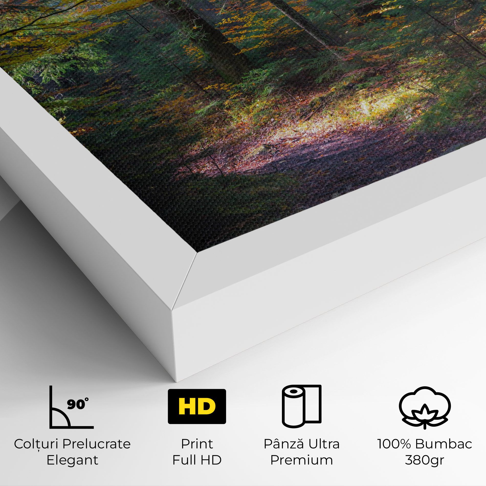 Dreamy Path Dorest mockup 4