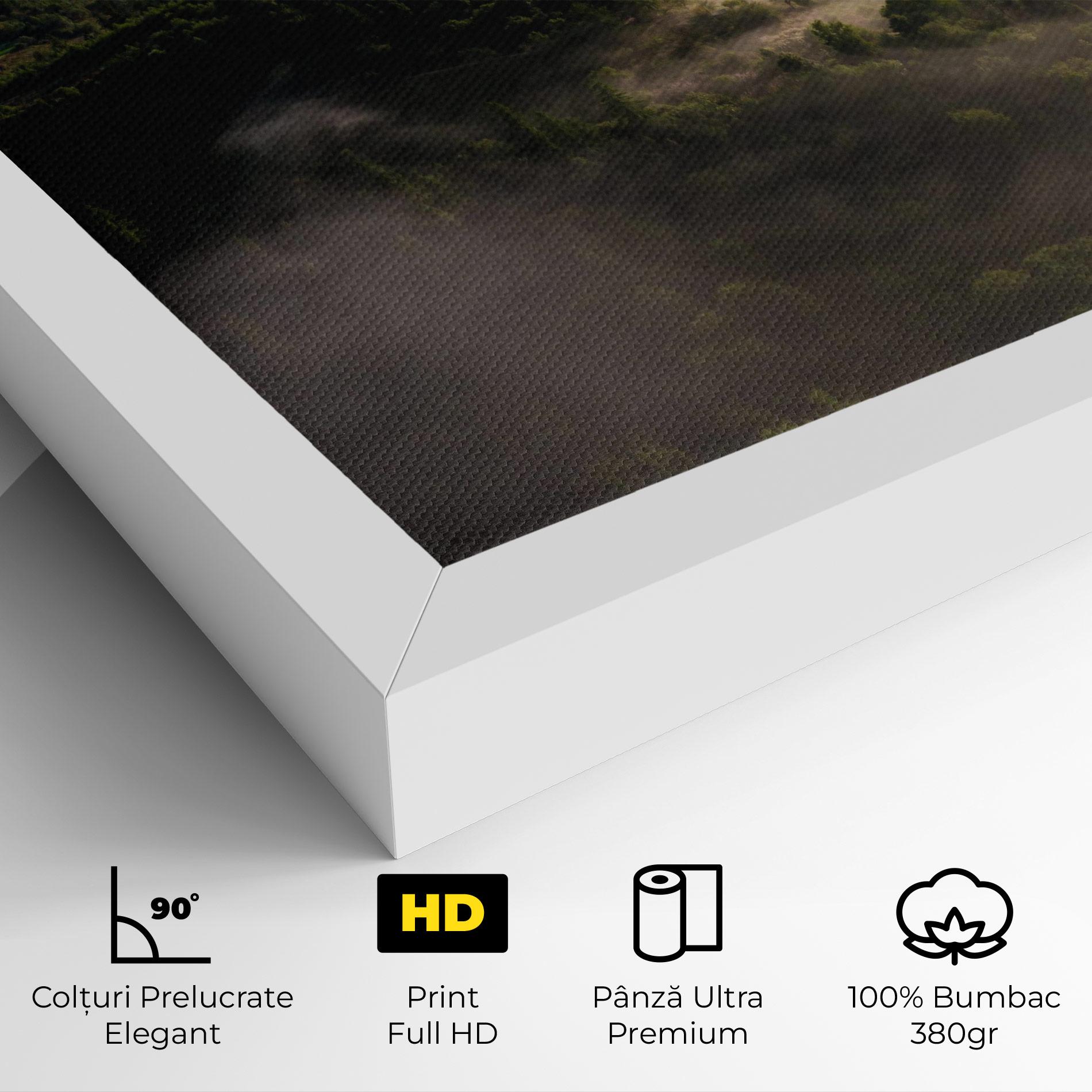 Tablou Canvas Foggy Forest View mockup 4