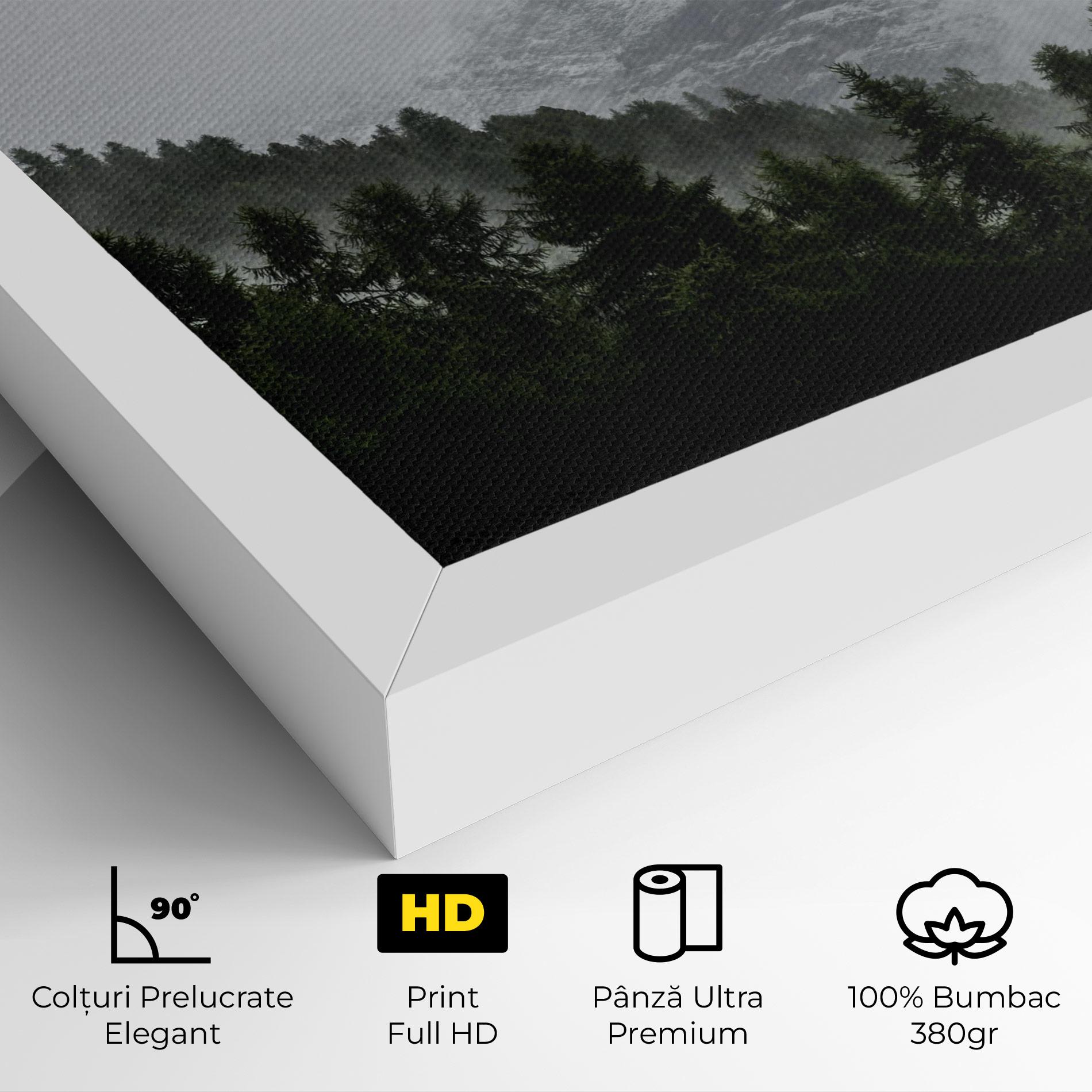 Tablou Canvas Foggy Mountain Forest mockup 4