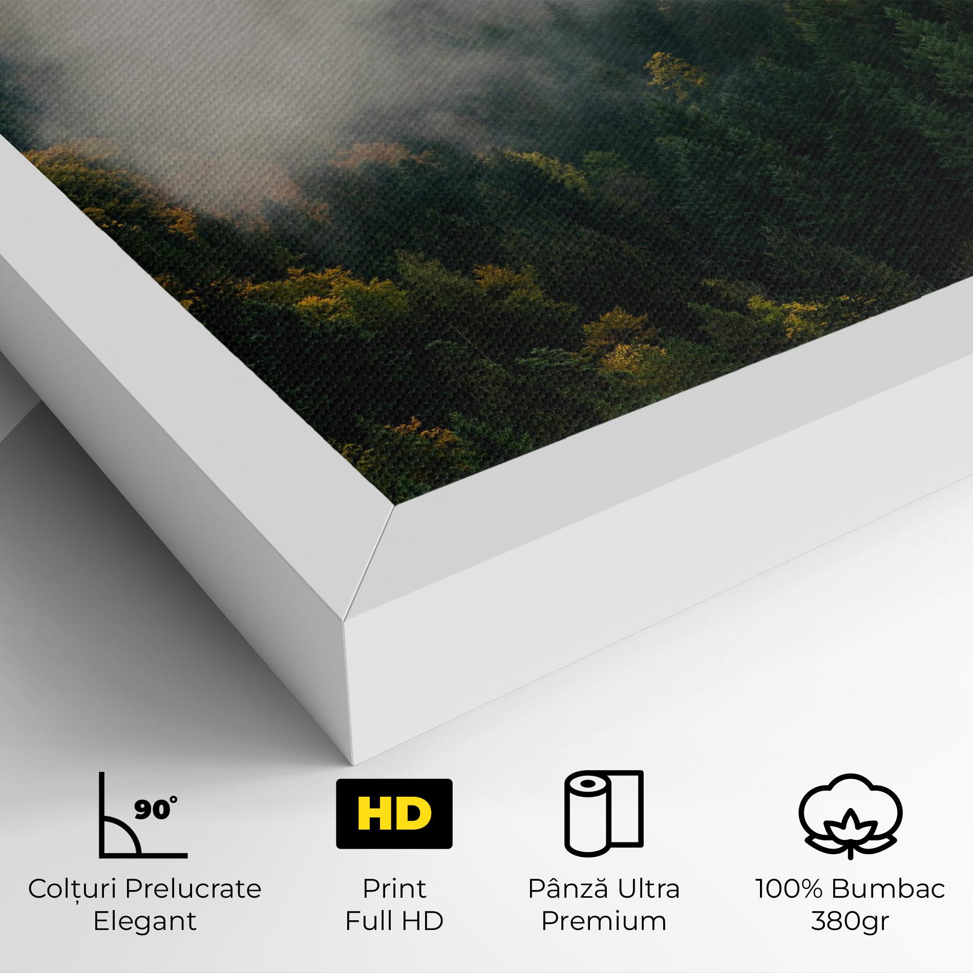 Tablou Canvas Foggy Tree Forest mockup 4