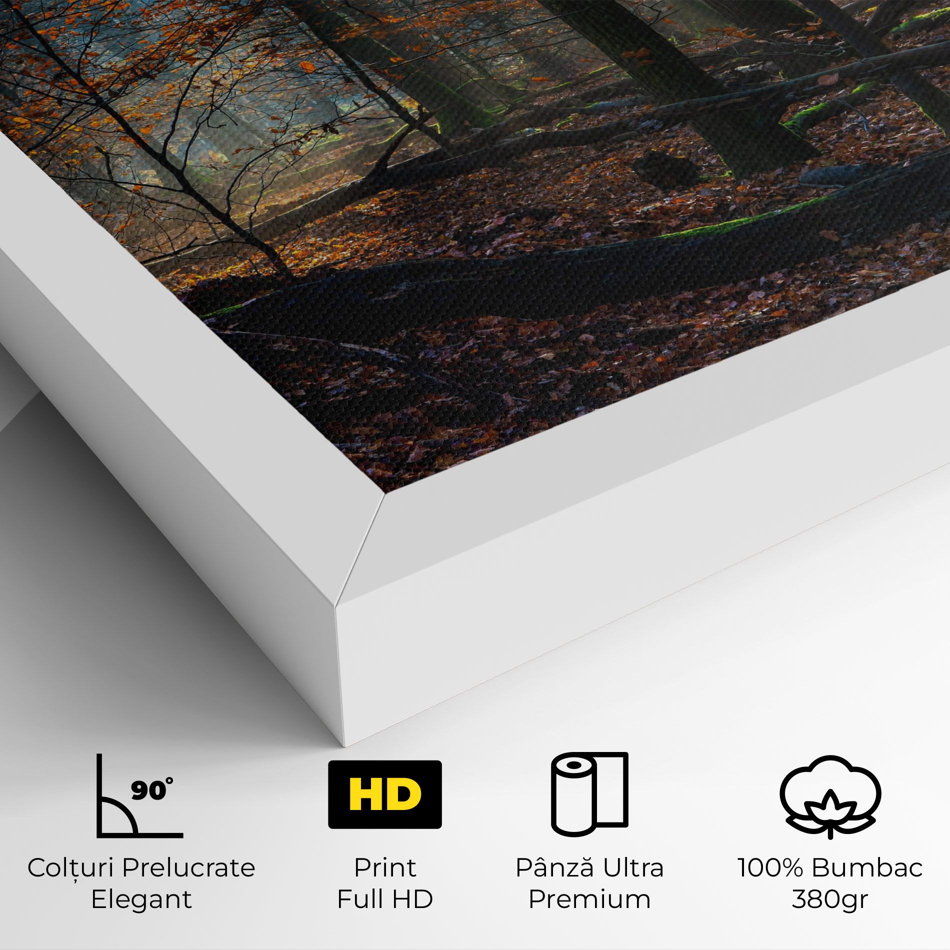 Forest Autumn Day mockup 4