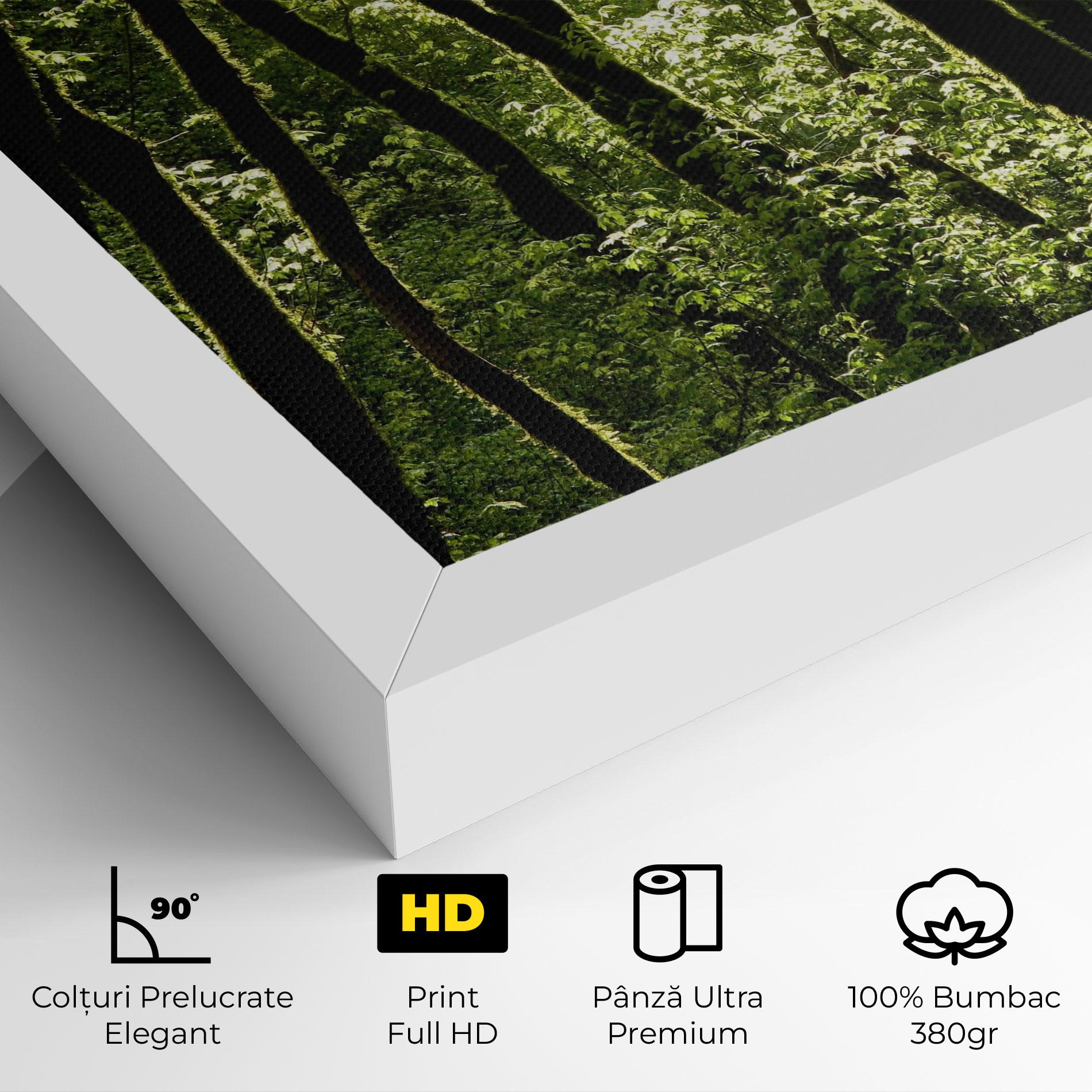 Tablou Canvas Forest Black Trees mockup 4