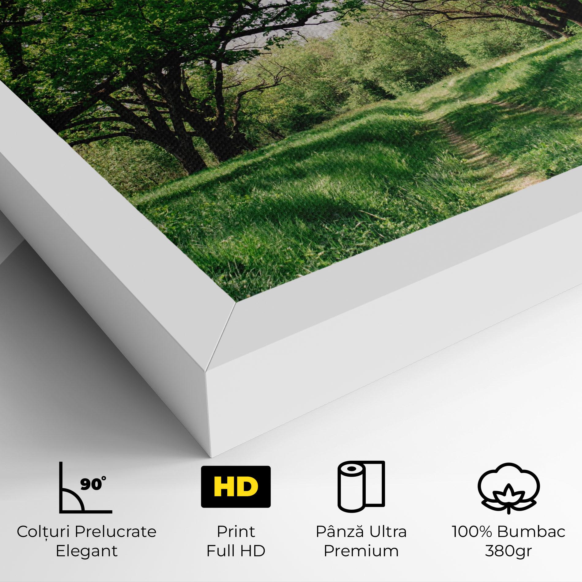 Tablou Canvas Forest Green Path mockup 4