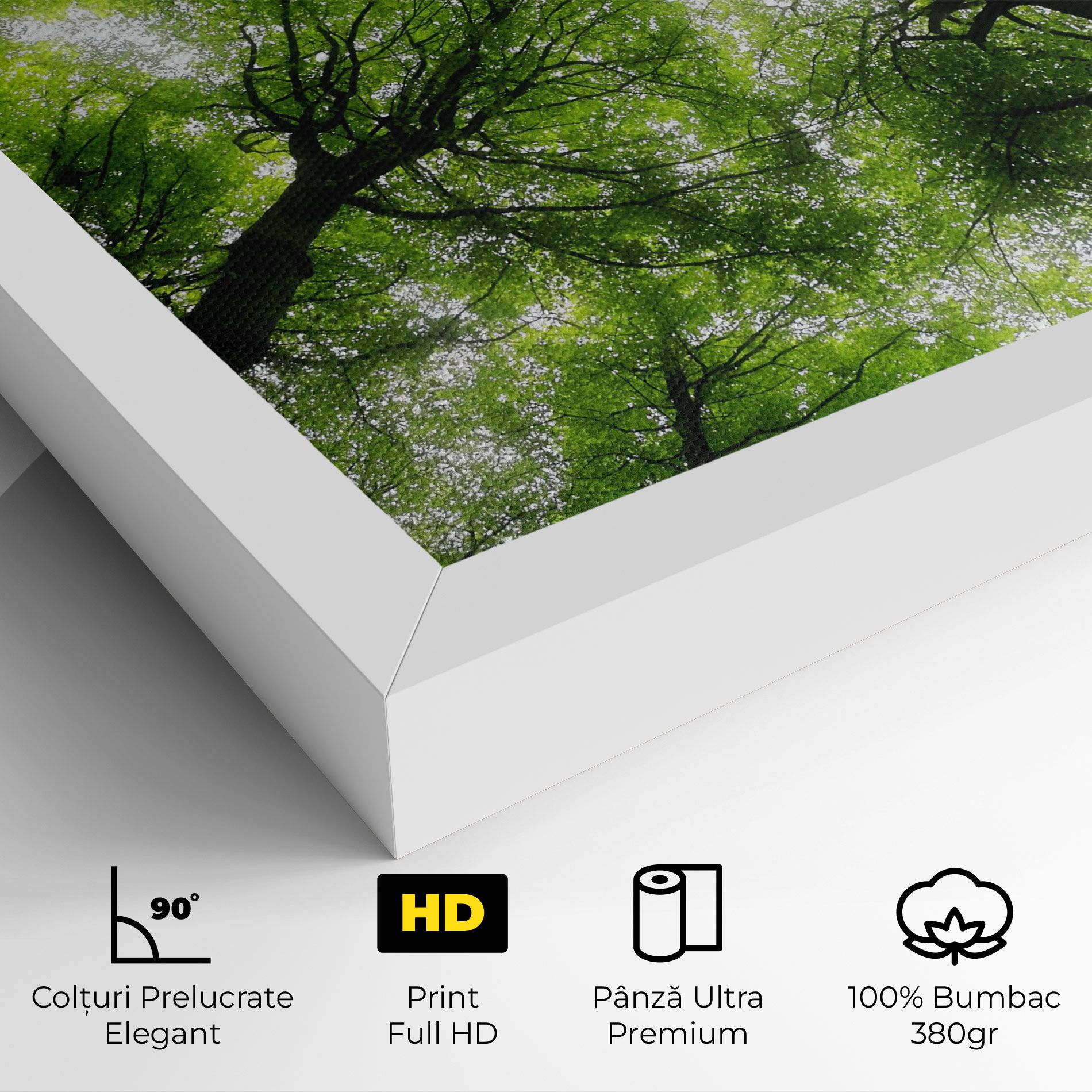 Forest Green Tree mockup 4