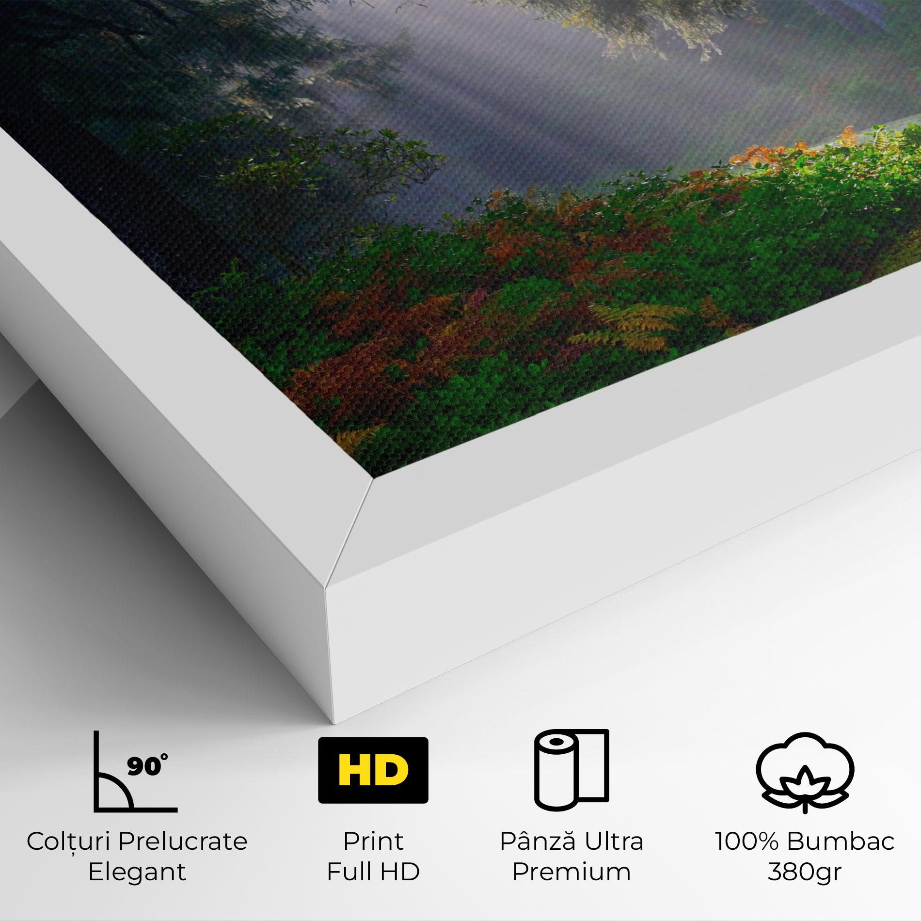 Tablou Canvas Forest Light mockup 4