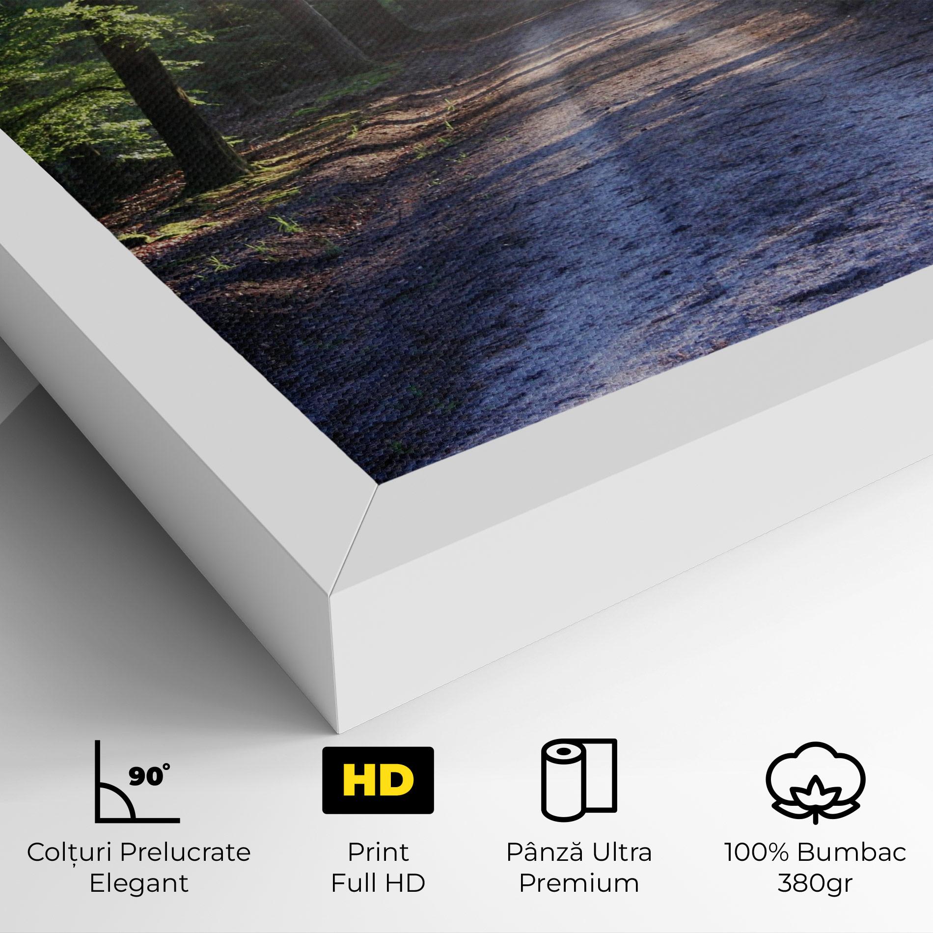 Tablou Canvas Forest Road mockup 4