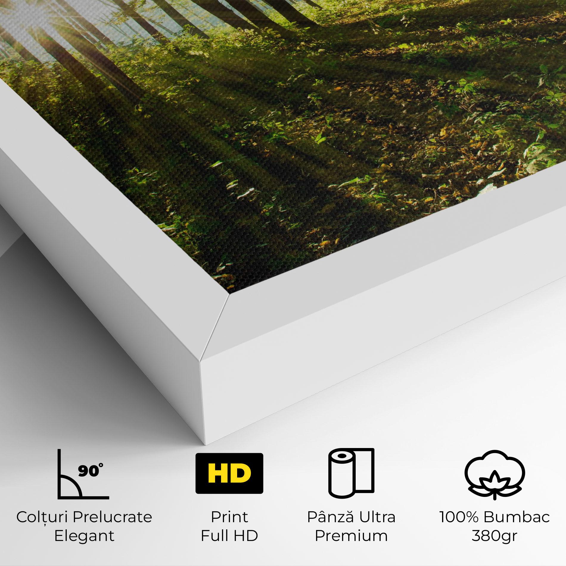 Tablou Canvas Green Light Forest mockup 4