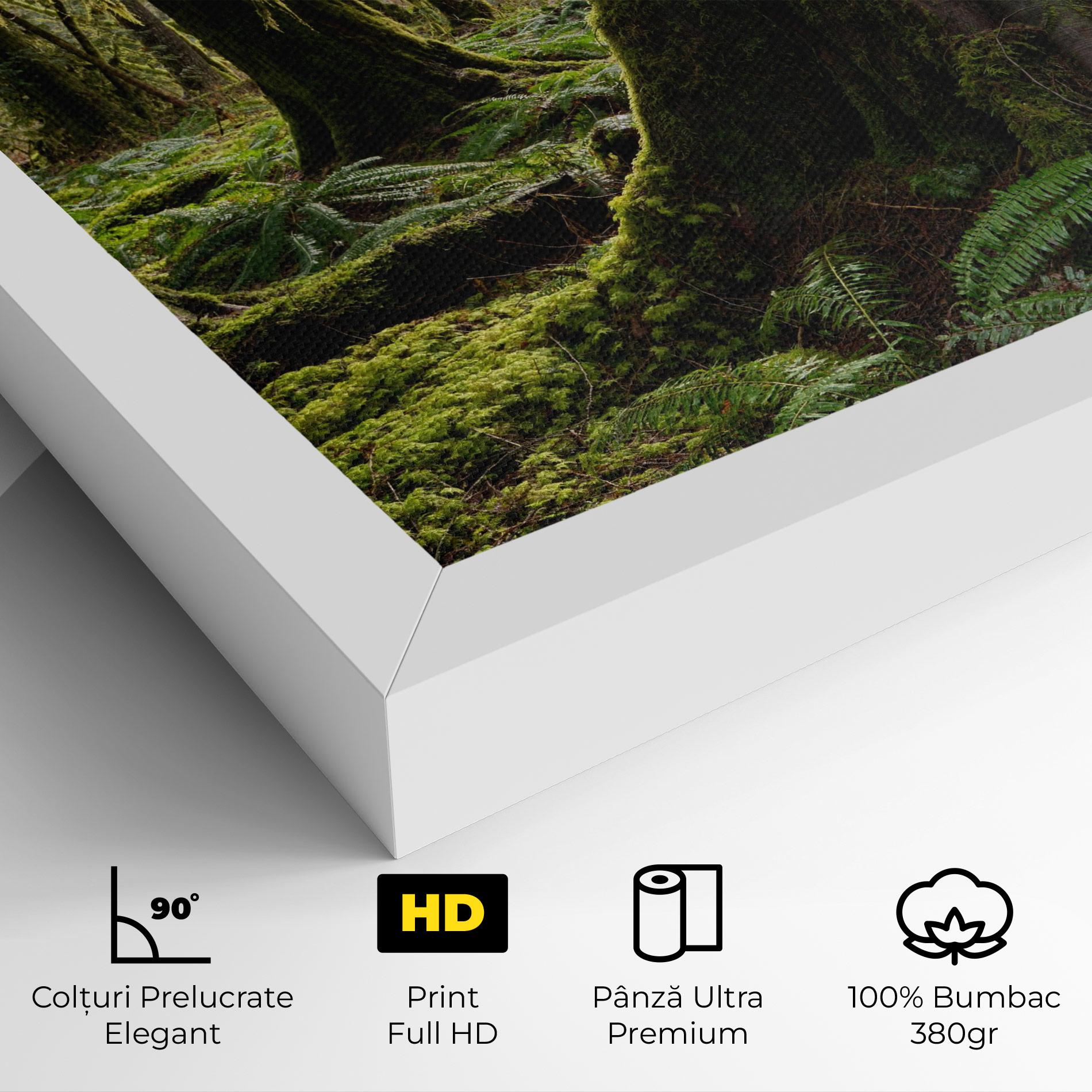 Tablou Canvas Green Moss Forest mockup 4