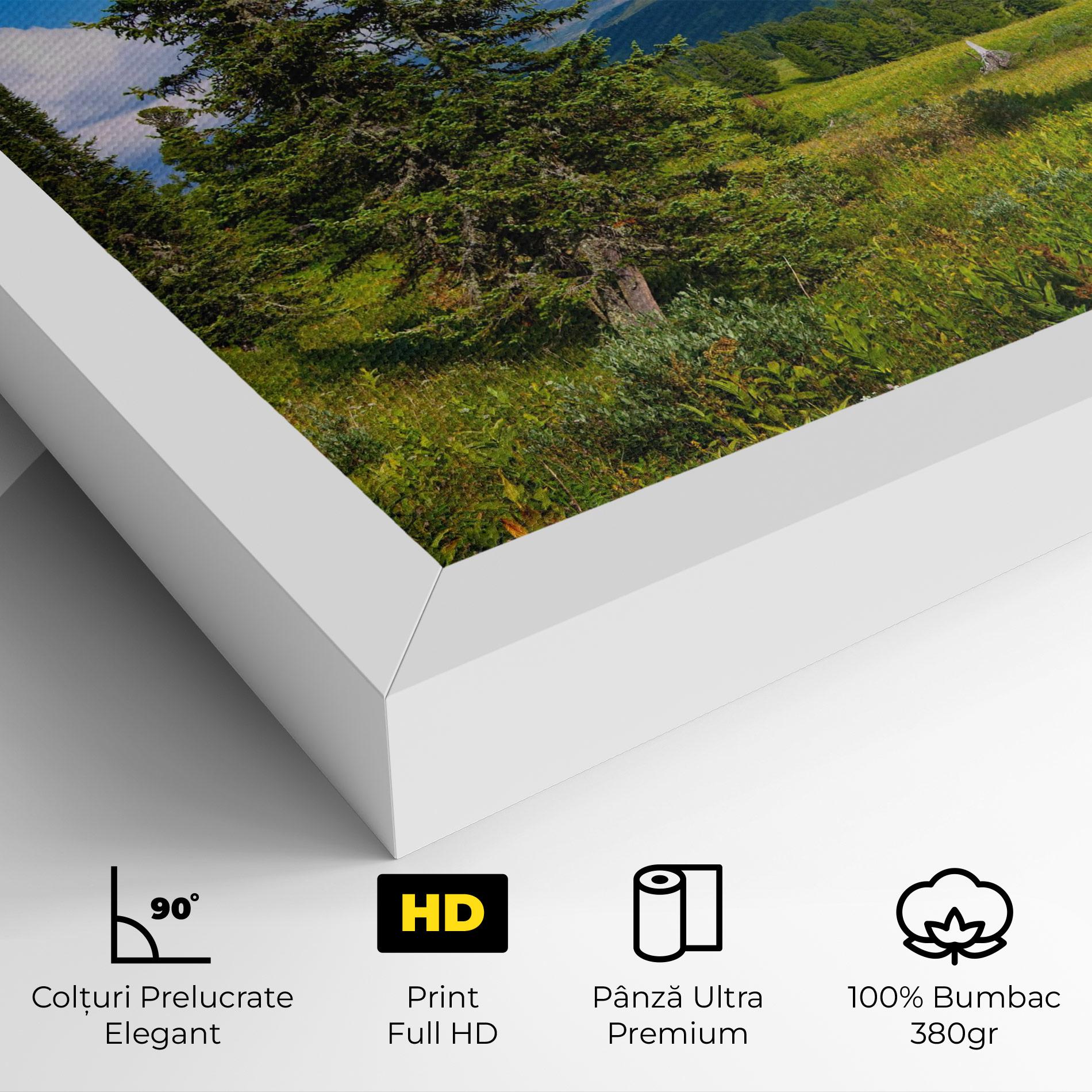 Tablou Canvas Morning Sunny Field mockup 4