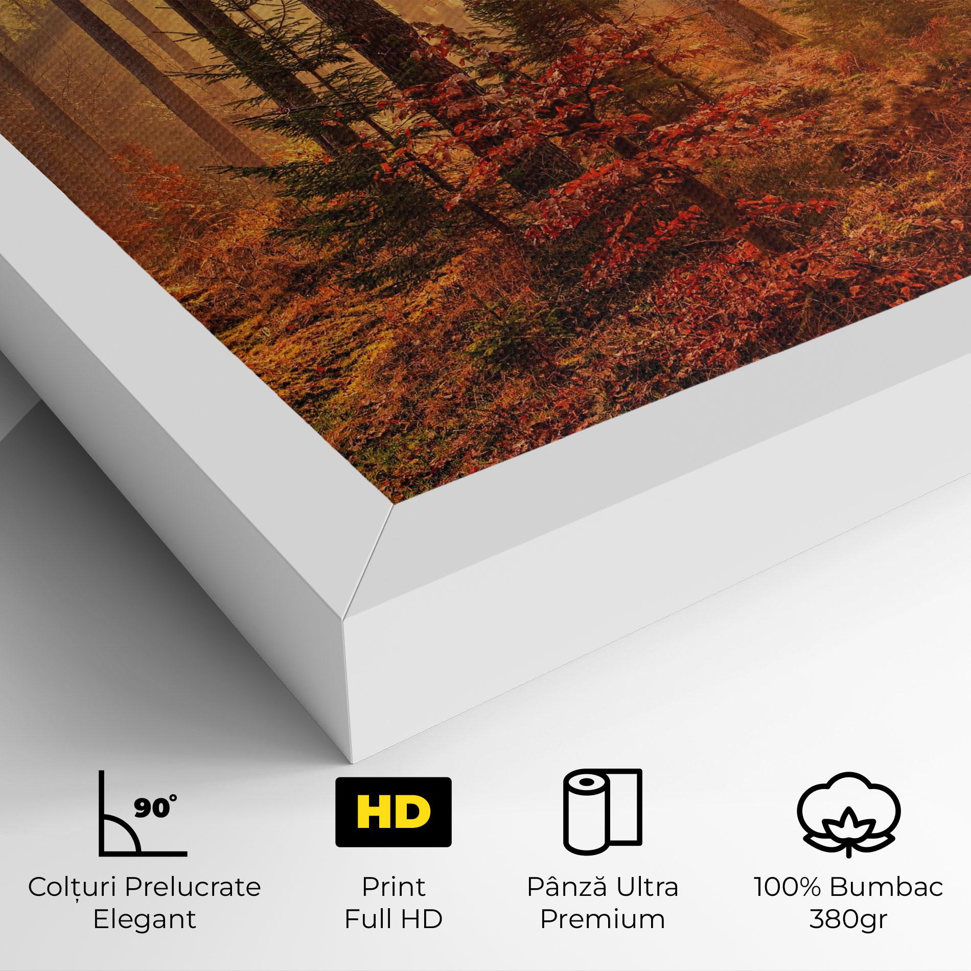 Tablou Canvas Orange Light Forest mockup 4