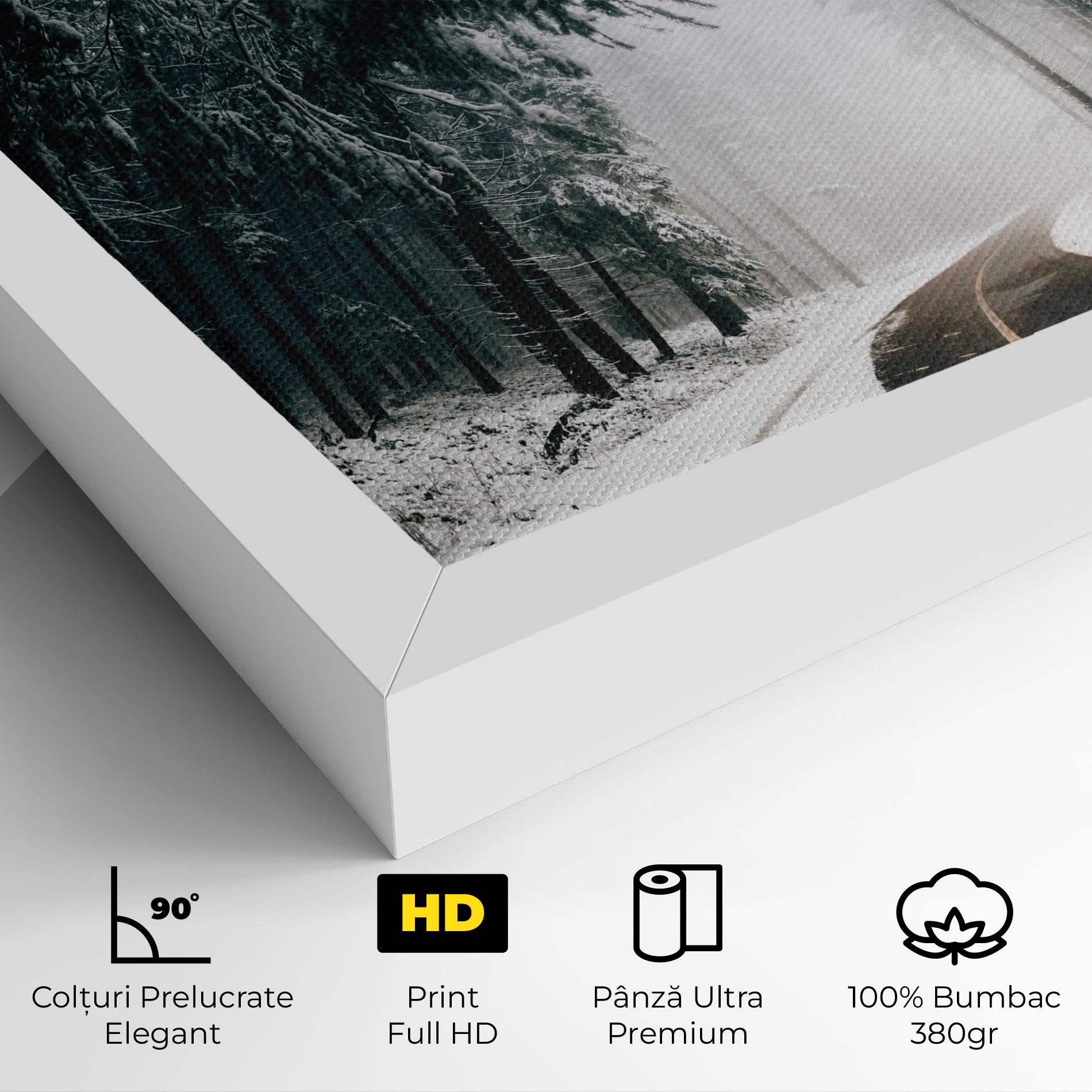 Tablou Canvas Snow Road Dorest mockup 4