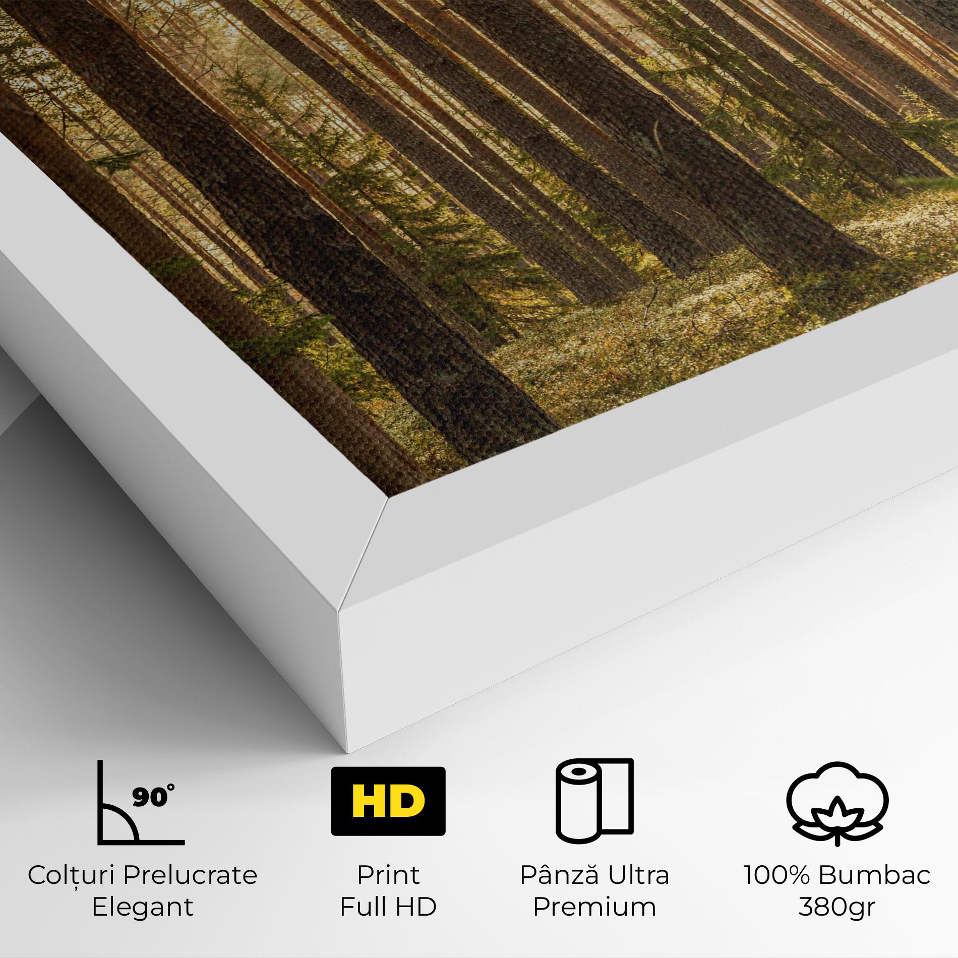 Tablou Canvas Sunrise Forest mockup 4