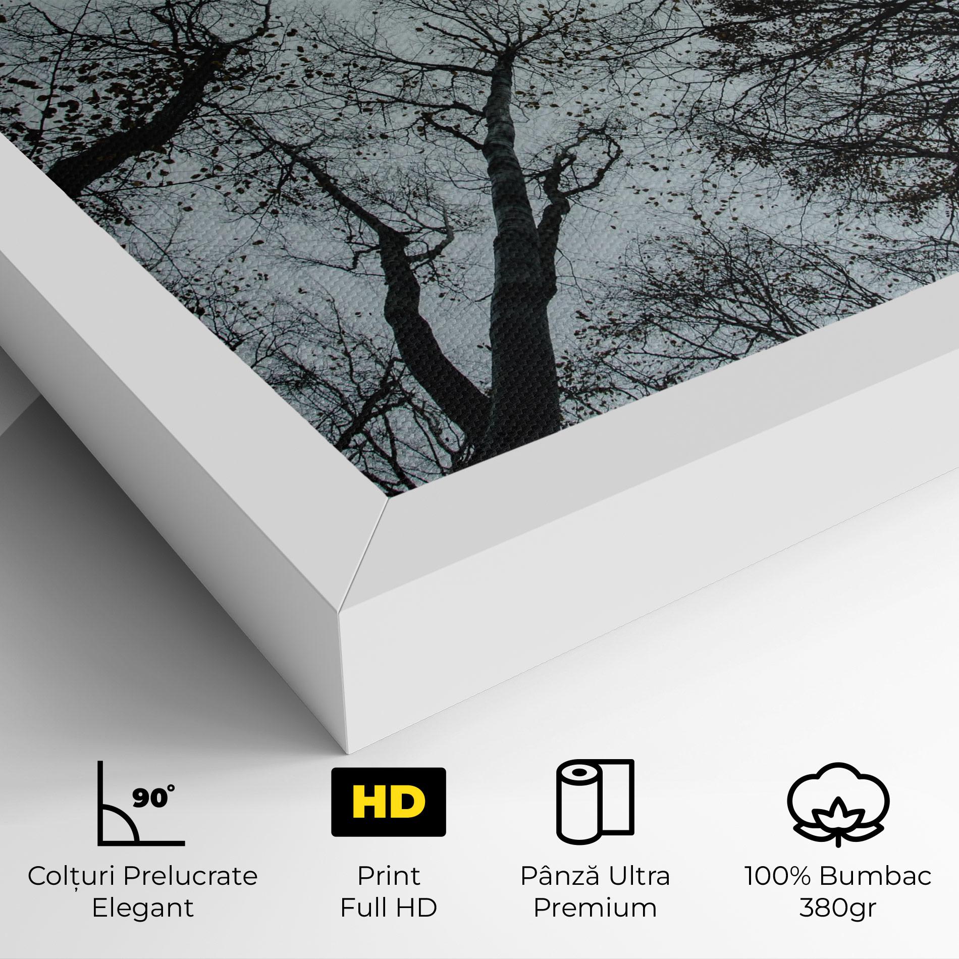 Tablou Canvas Trees Touching mockup 4