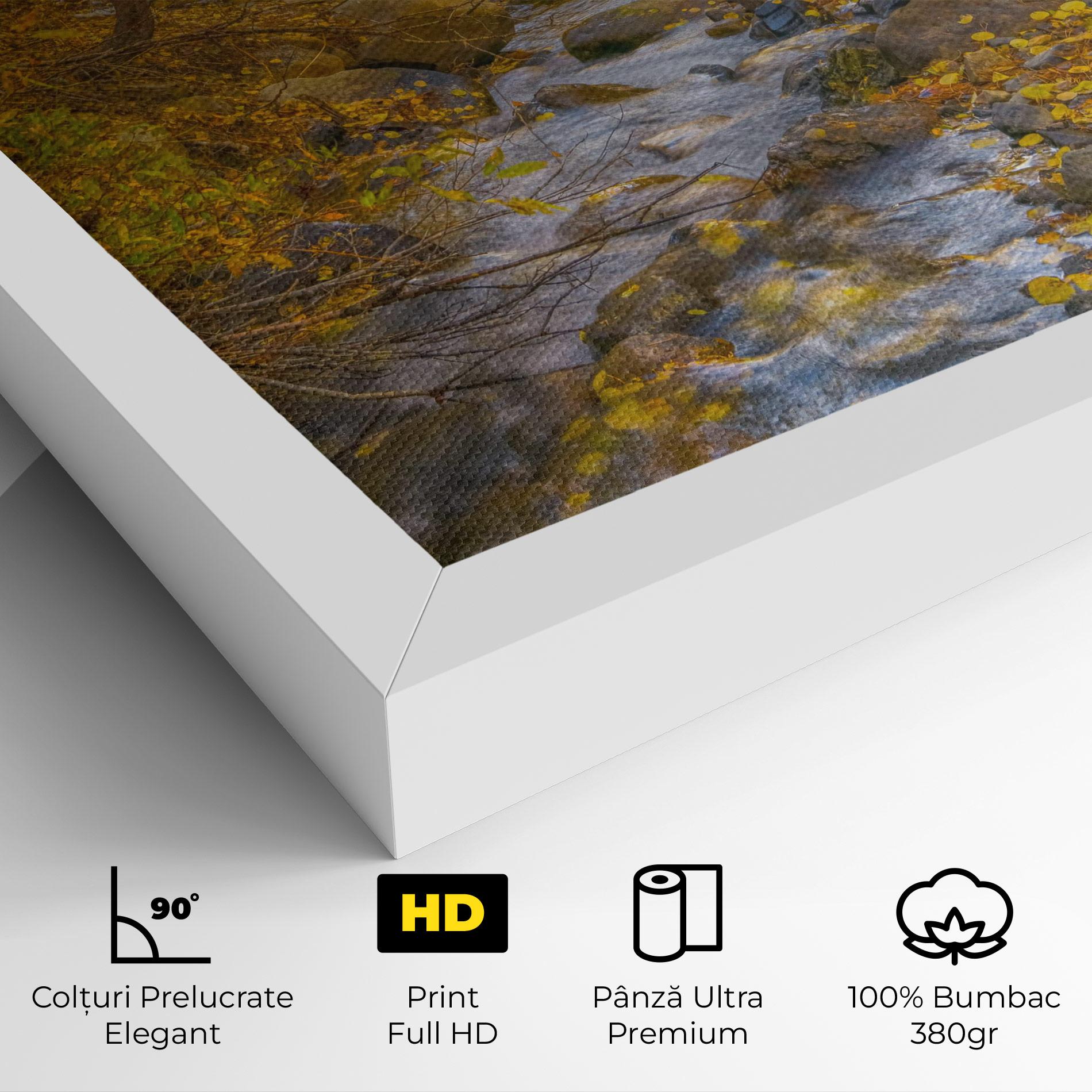 Tablou Canvas Yellow View Forest mockup 4