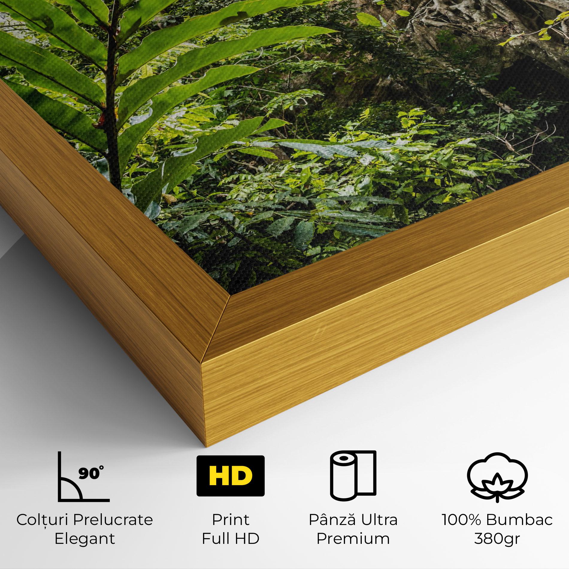 Tablou Canvas Big Leaf Forest mockup 4