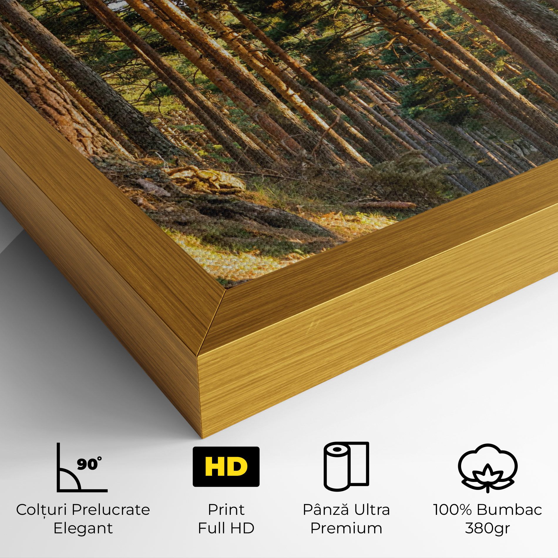 Big Trees Forest mockup 4