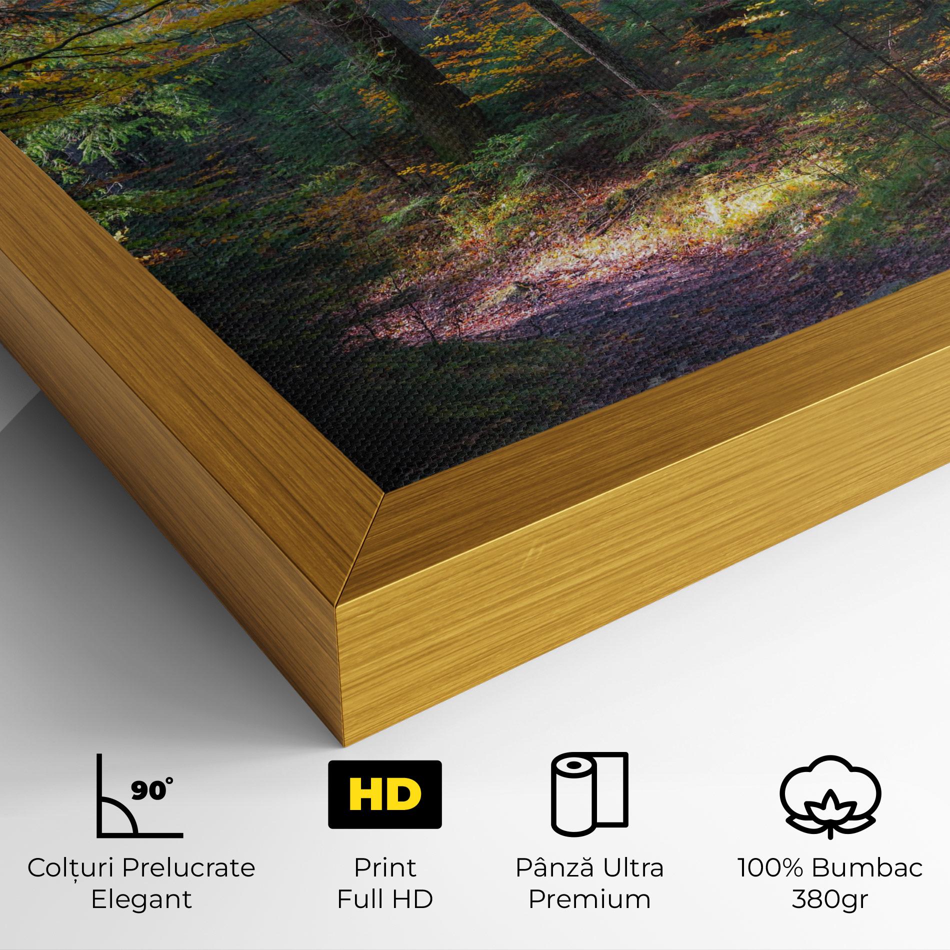 Tablou Canvas Dreamy Path Dorest mockup 4