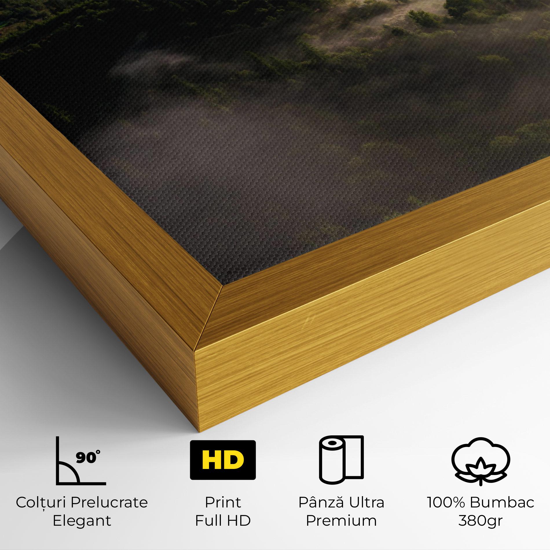Tablou Canvas Foggy Forest View mockup 4