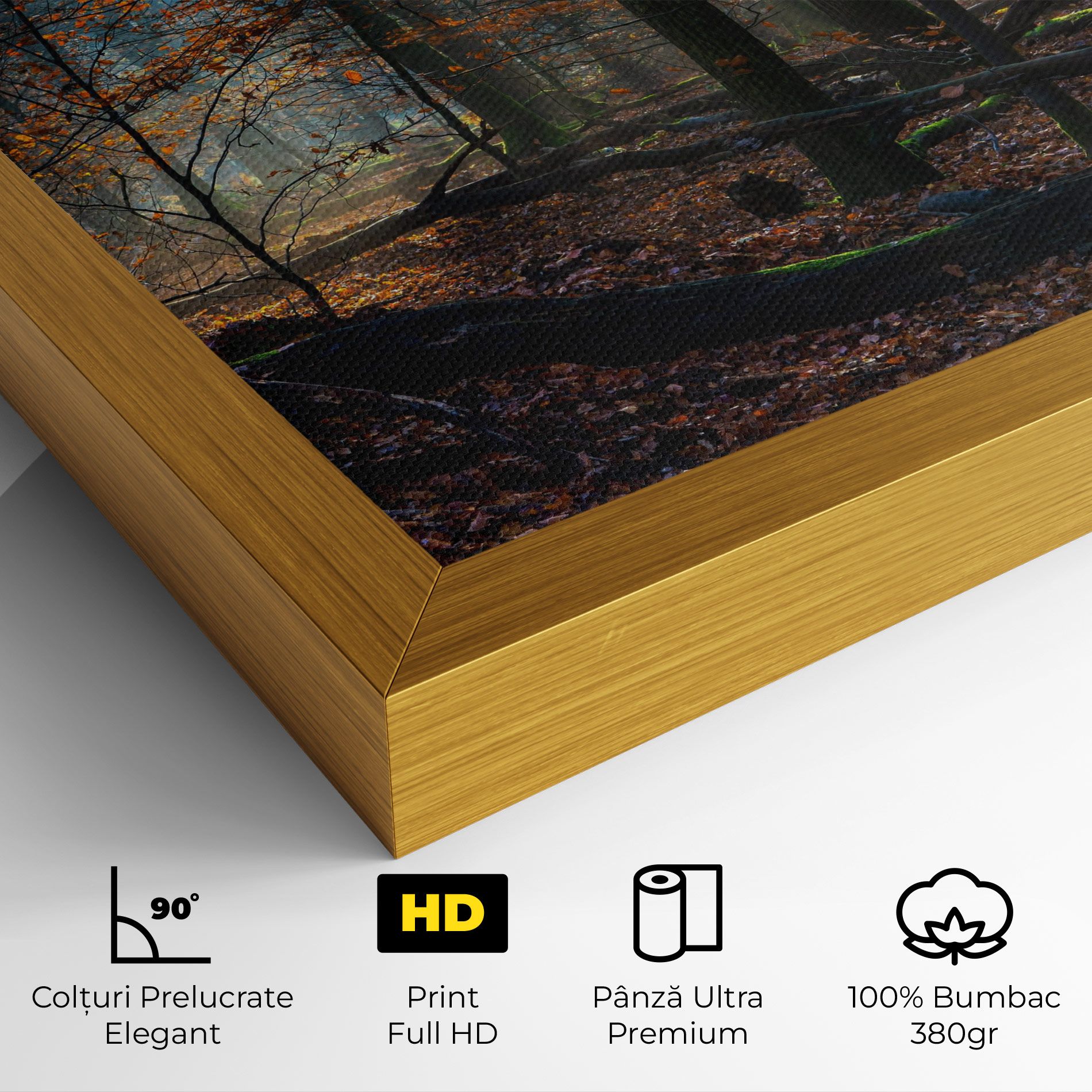 Forest Autumn Day mockup 4
